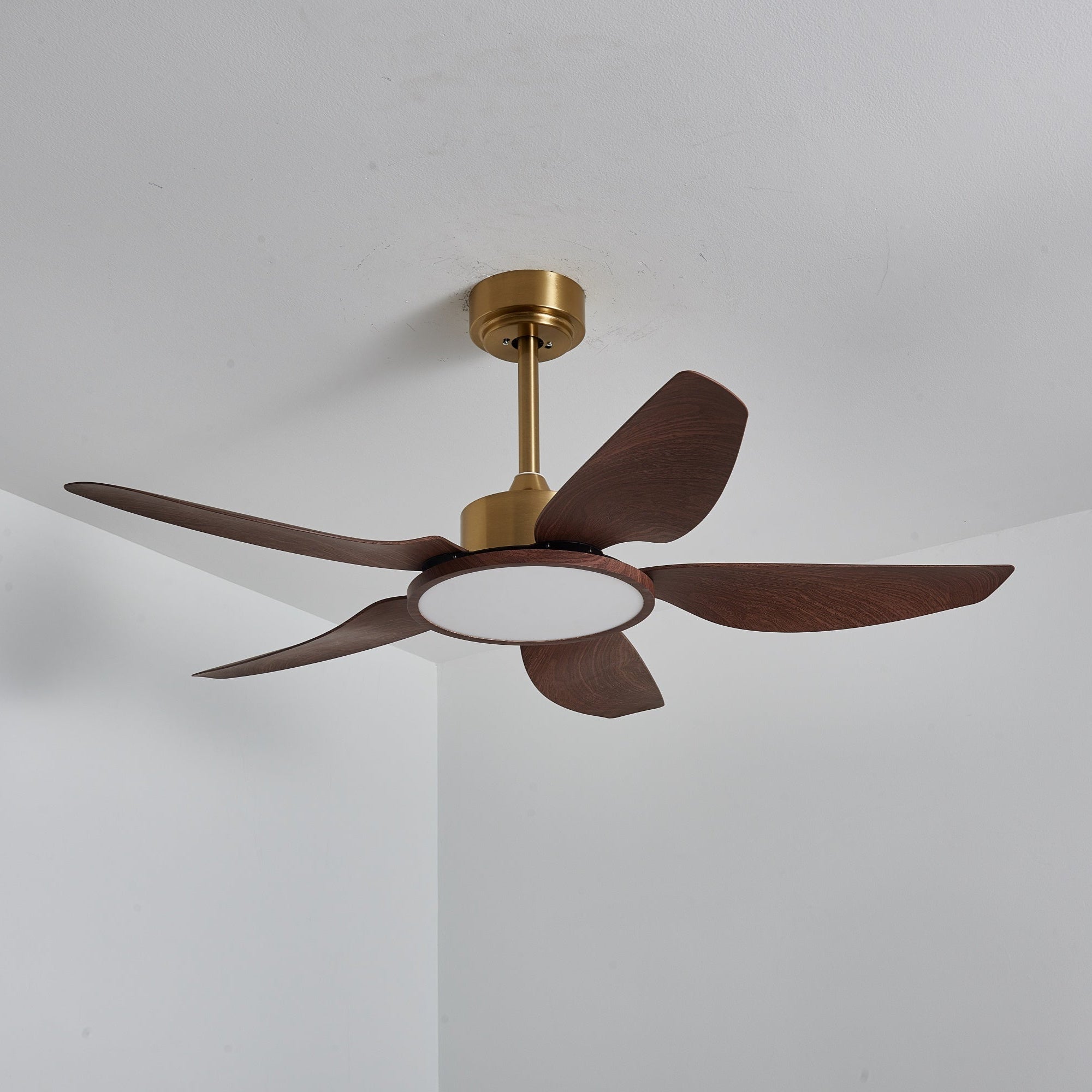 Sileno Ceiling Fan