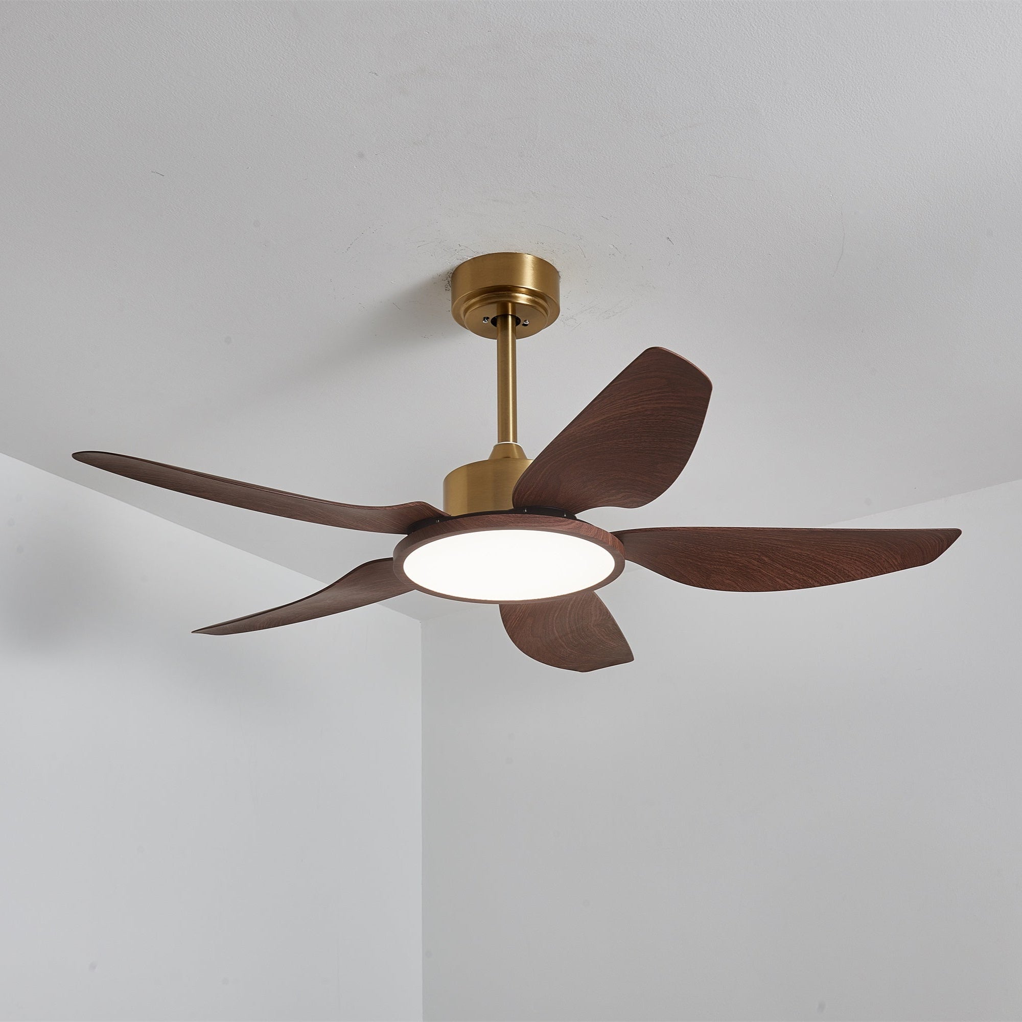 Sileno Ceiling Fan
