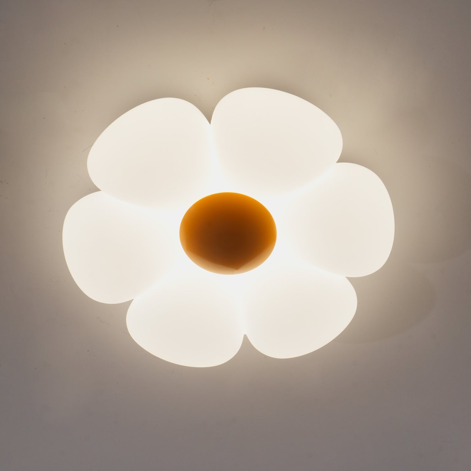 Soleaf Ceiling Light