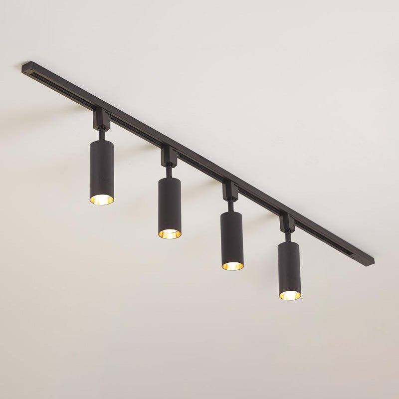 Sylonexis Ceiling Light