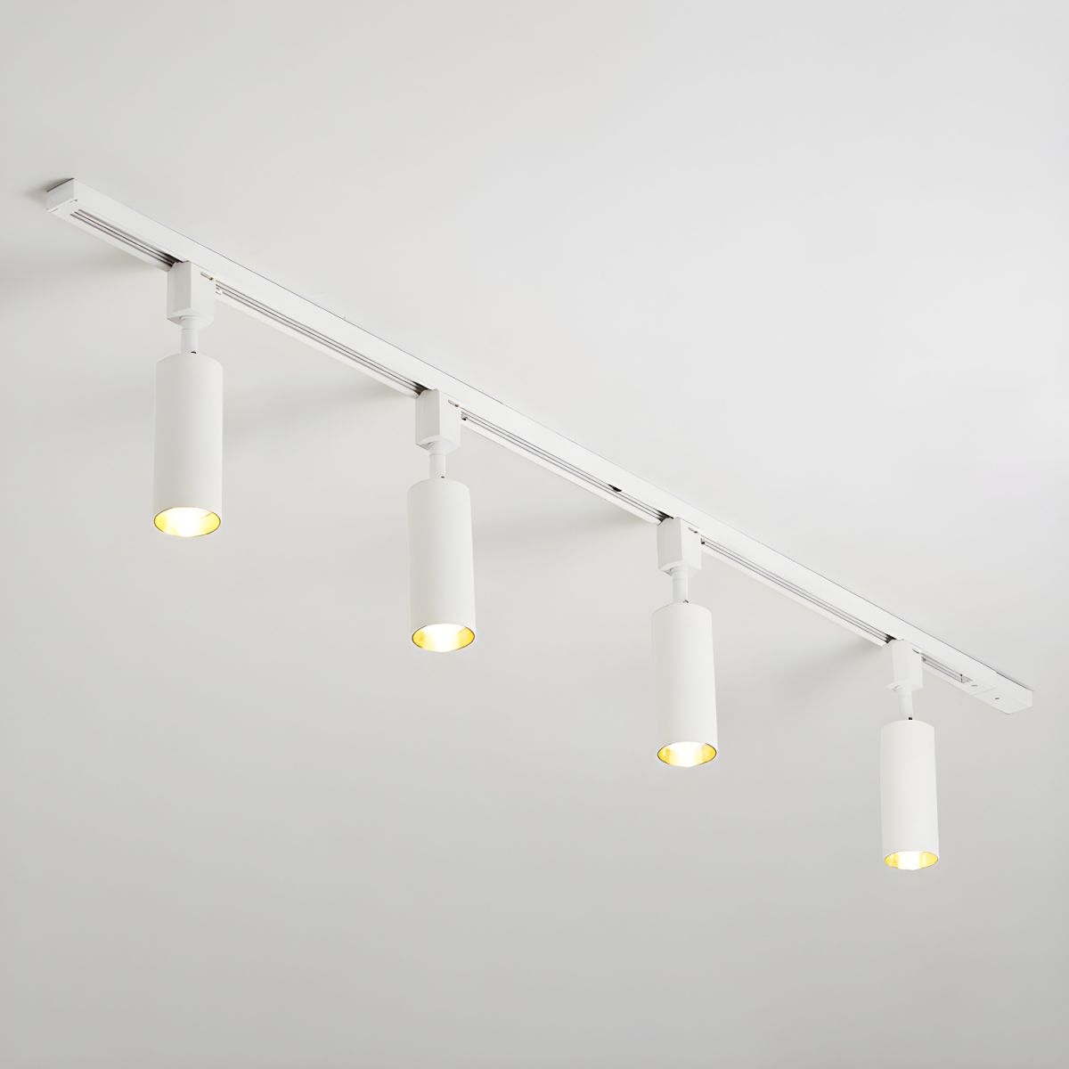 Sylonexis Ceiling Light