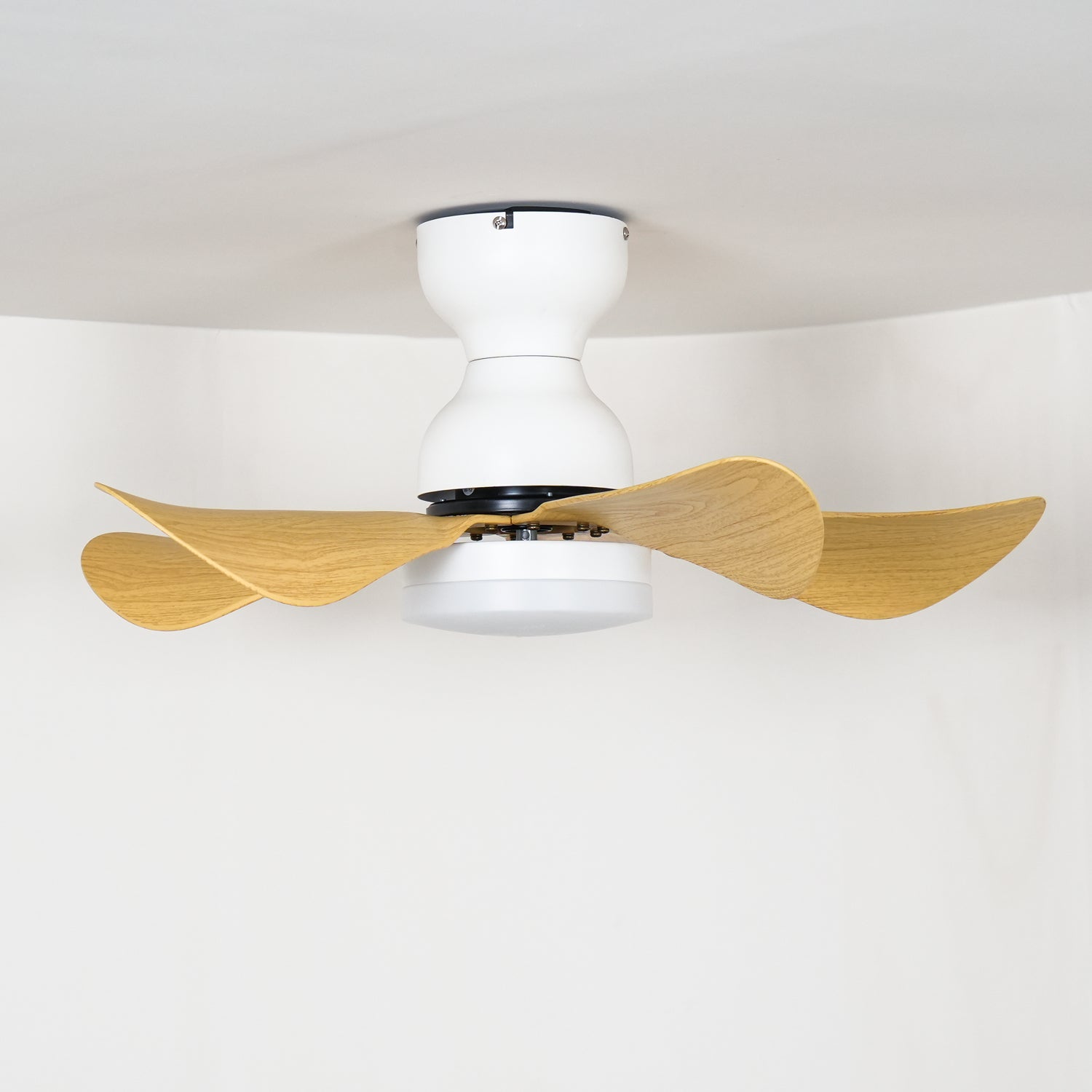 Lyrela LED Ceiling Fan