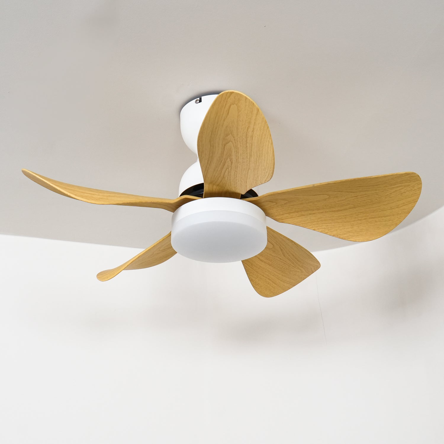 Lyrela LED Ceiling Fan