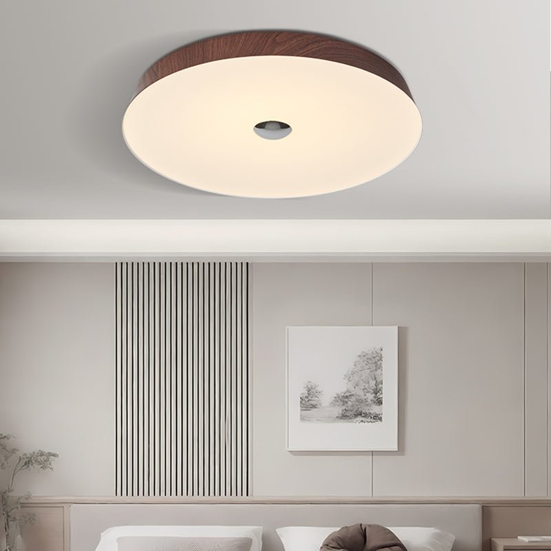 Solinca Ceiling Light