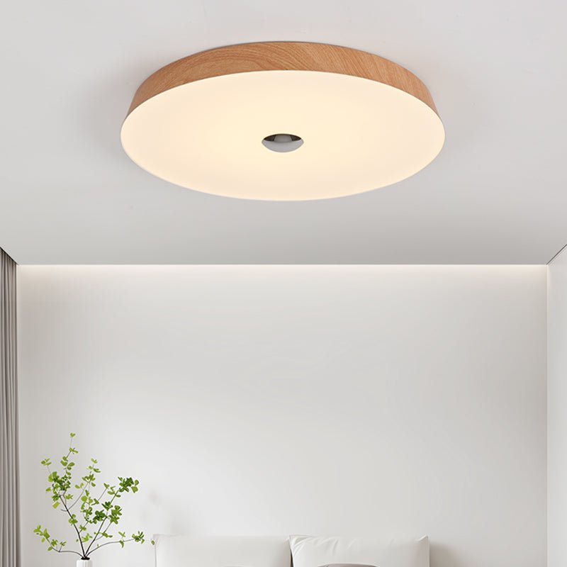 Solinca Ceiling Light
