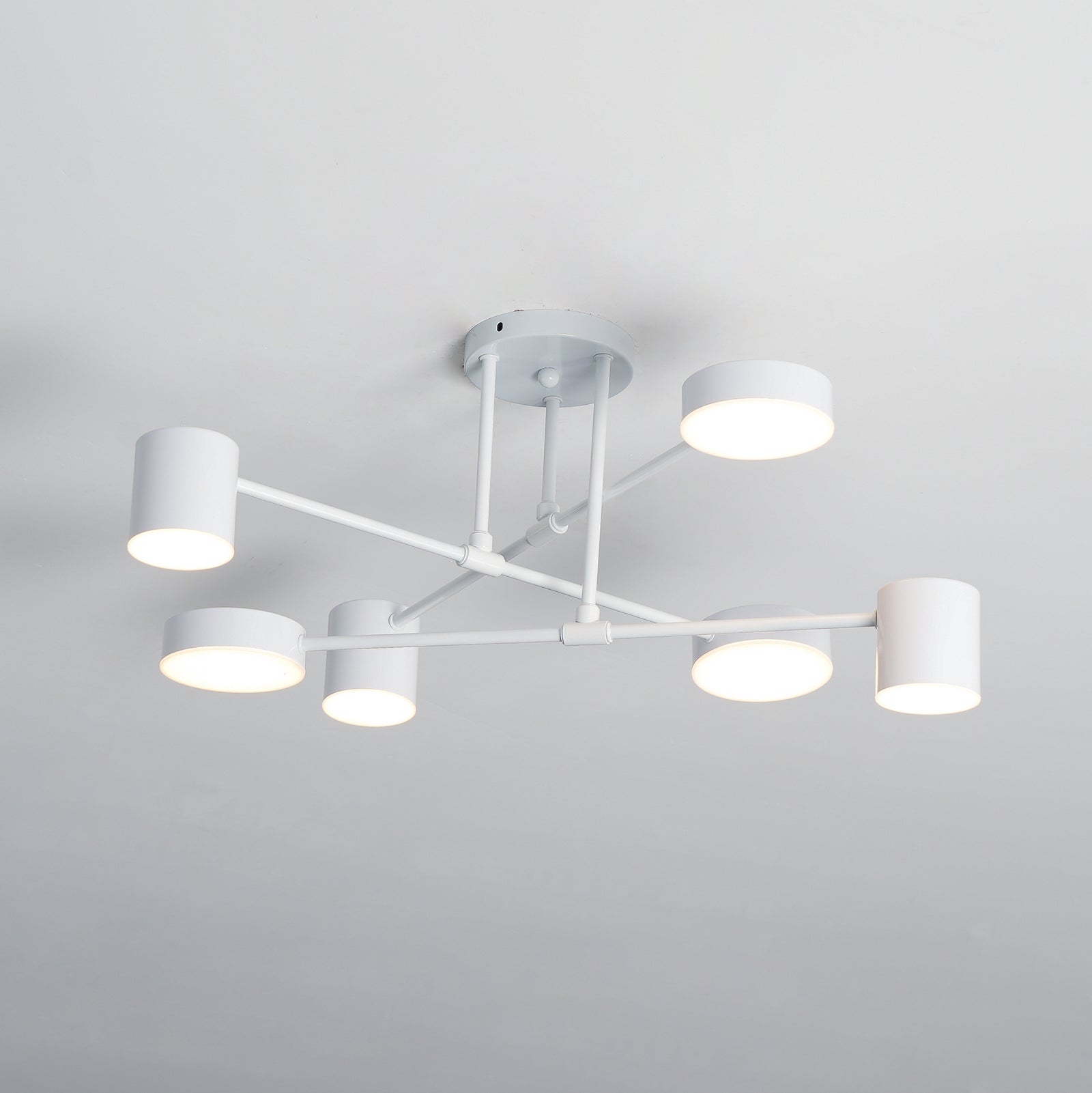 Siponic Ceiling Light