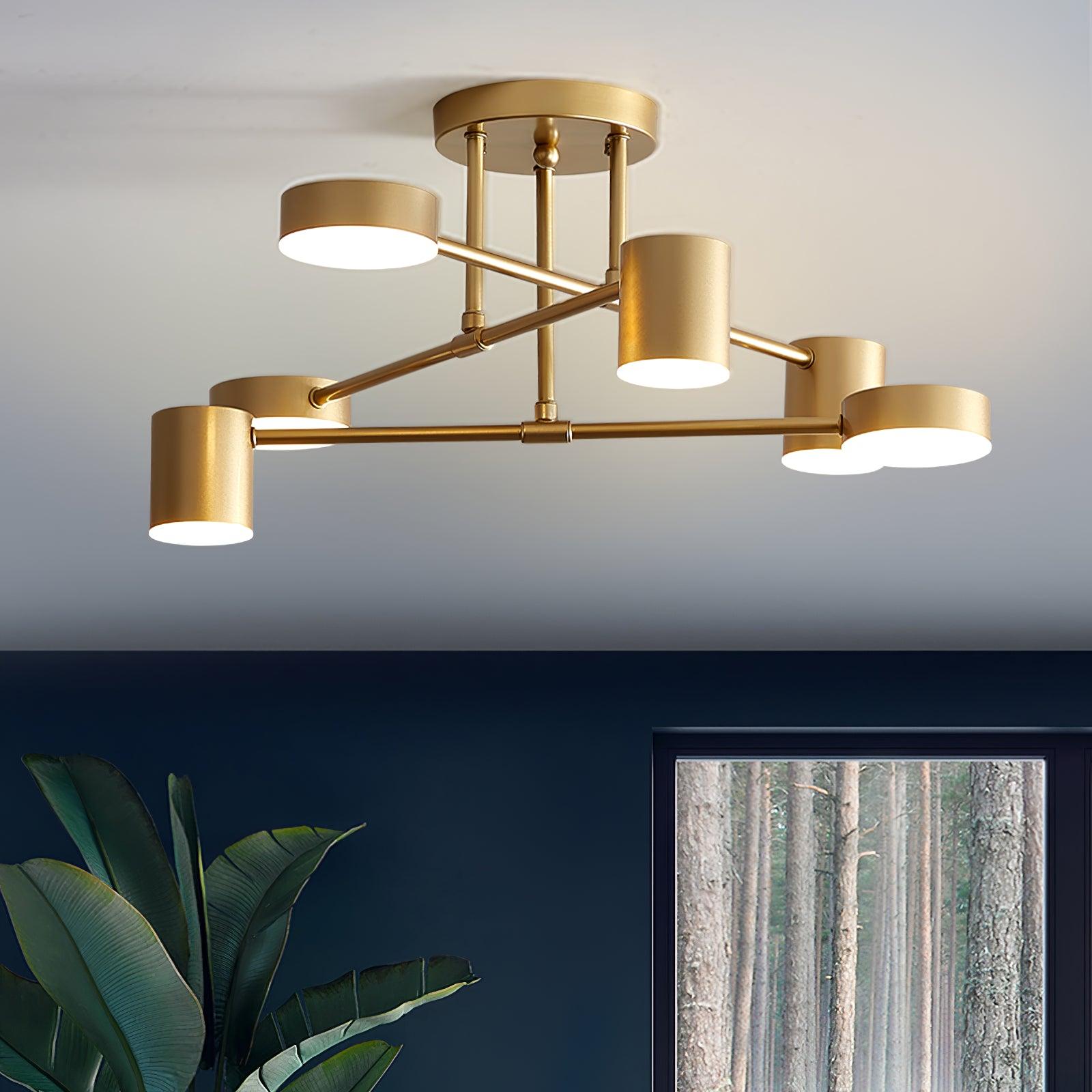 Siponic Ceiling Light
