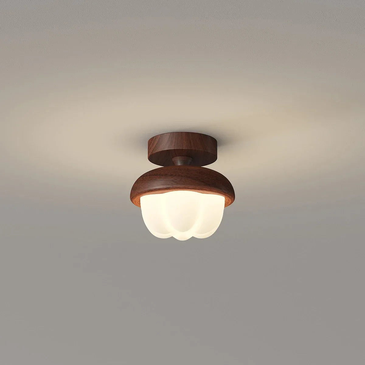 Cireva Ceiling Light