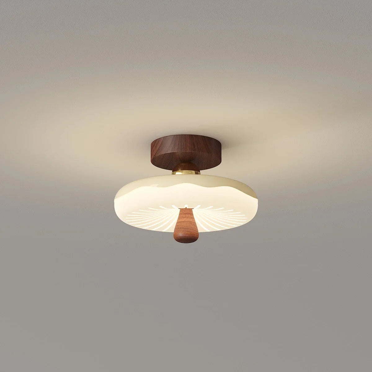Cireva Ceiling Light