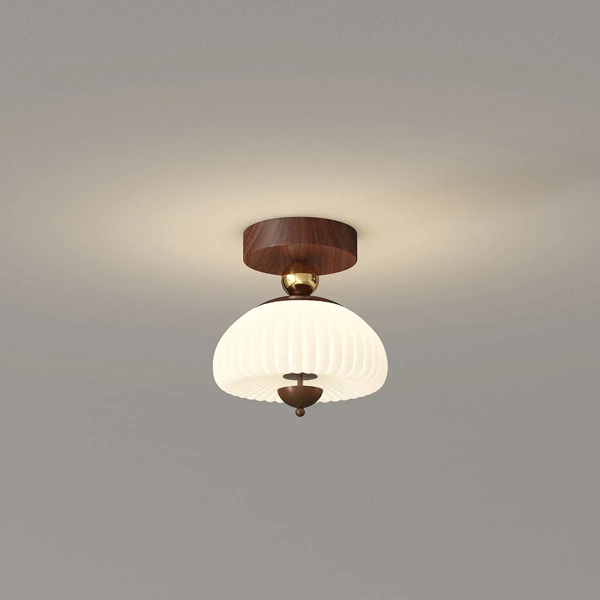 Cireva Ceiling Light
