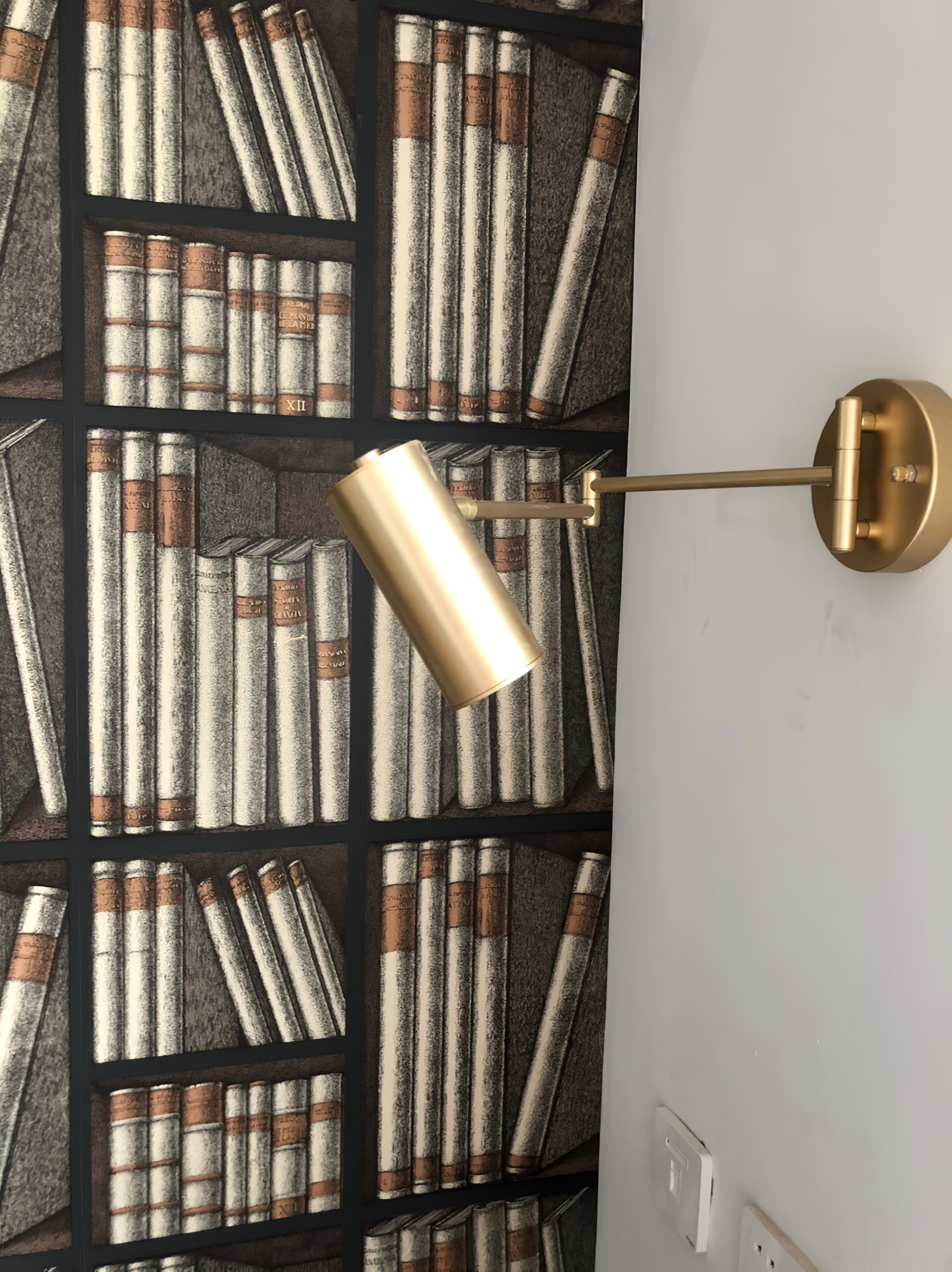 Bexne Swing Arm Wall Light