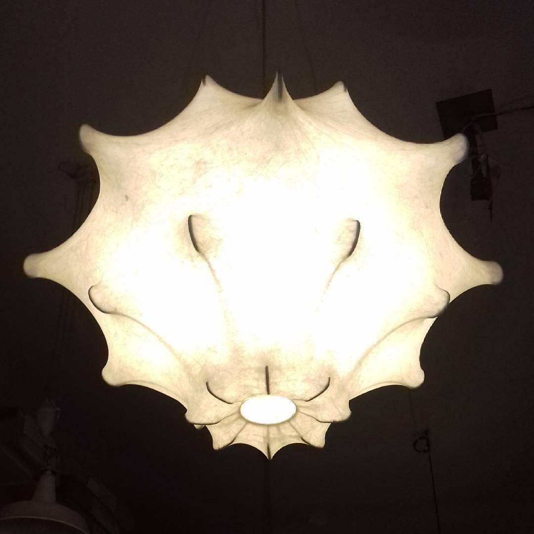Cosconis Pendant Light