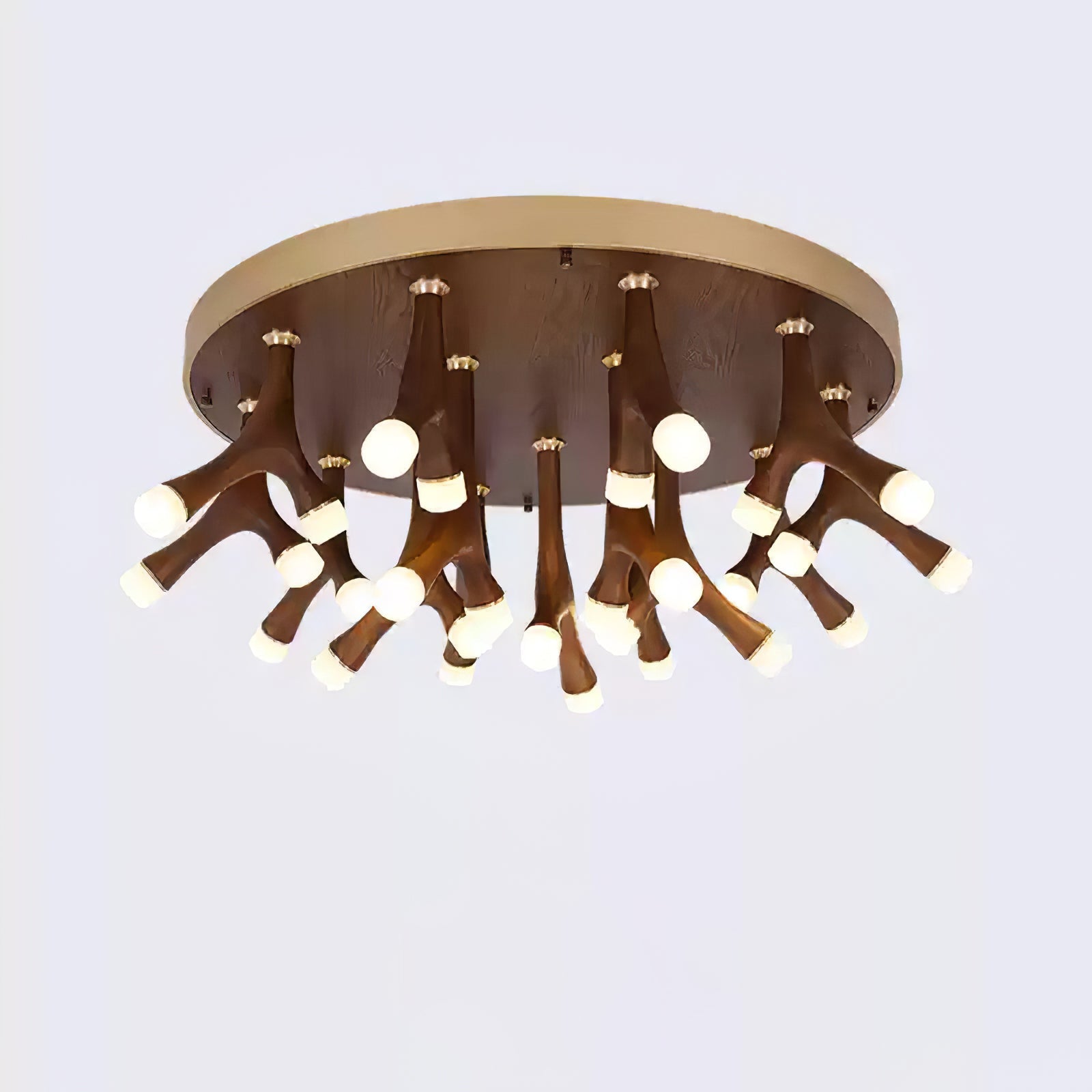 Tentazo Ceiling Light