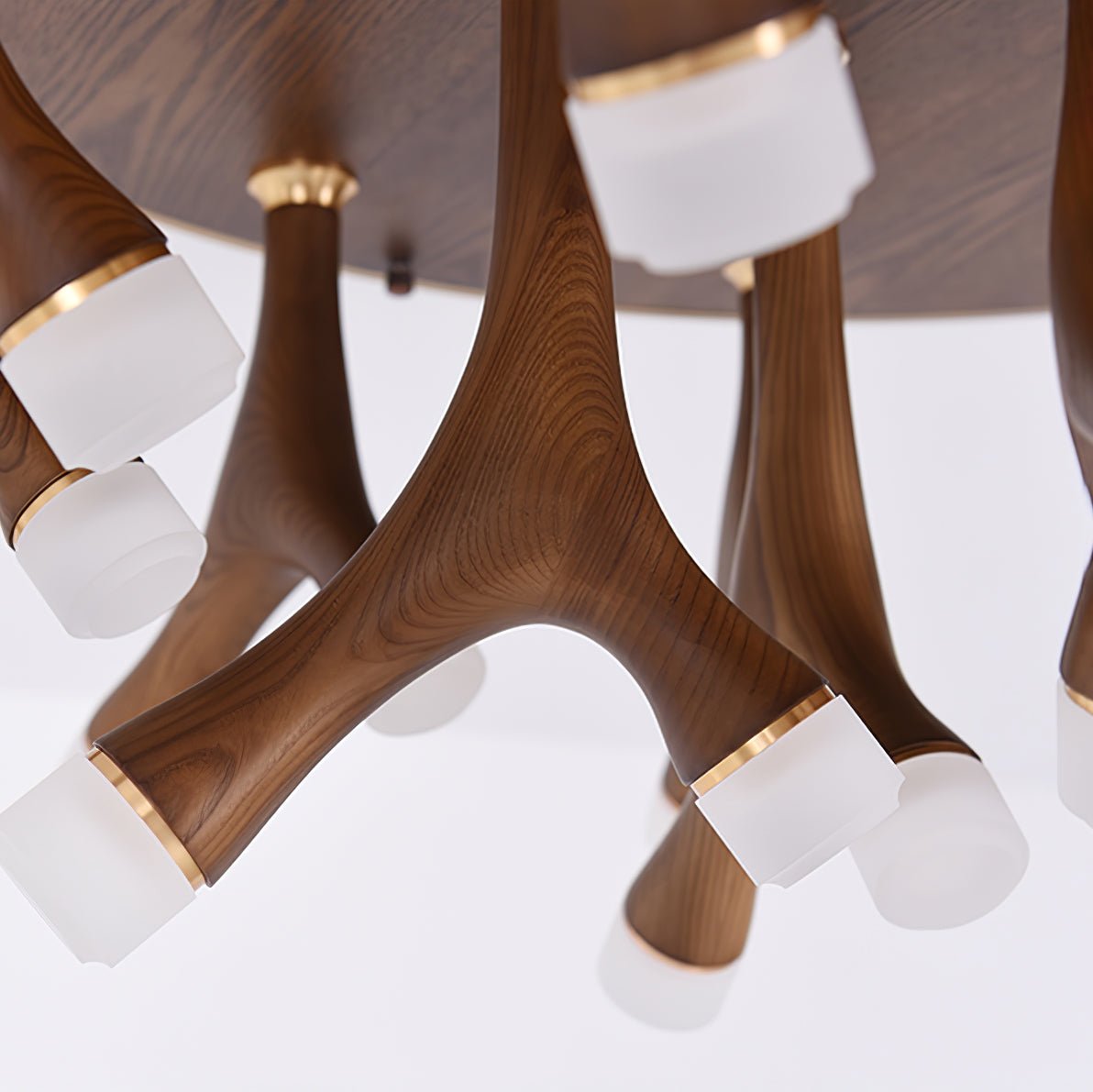 Tentazo Ceiling Light