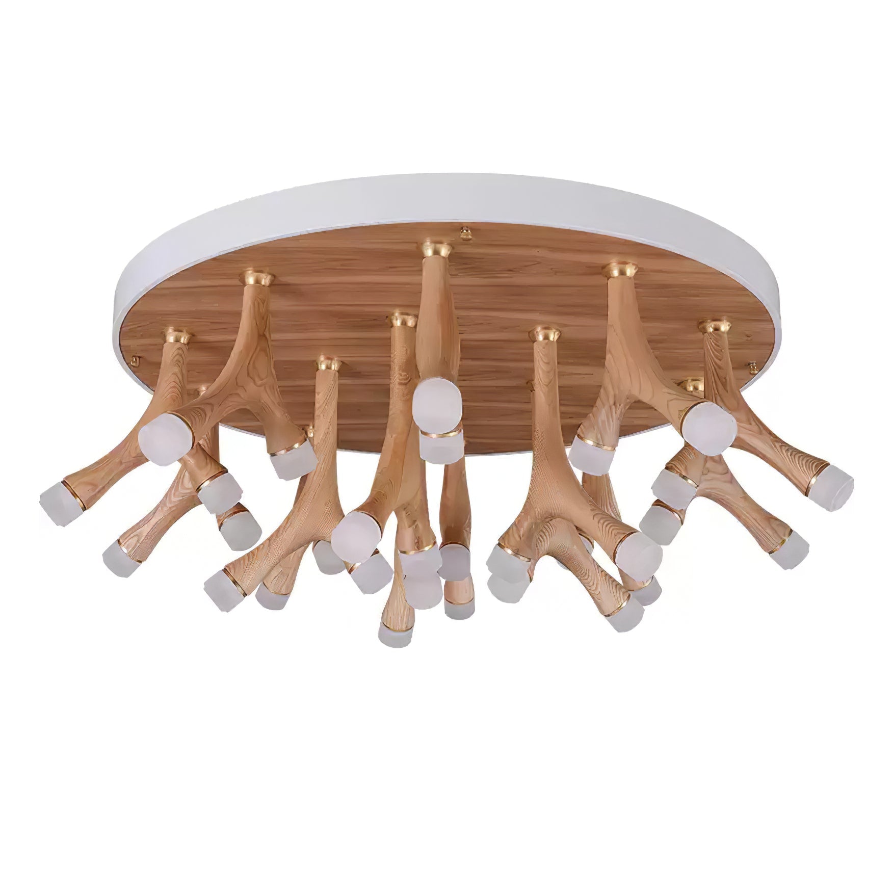 Tentazo Ceiling Light