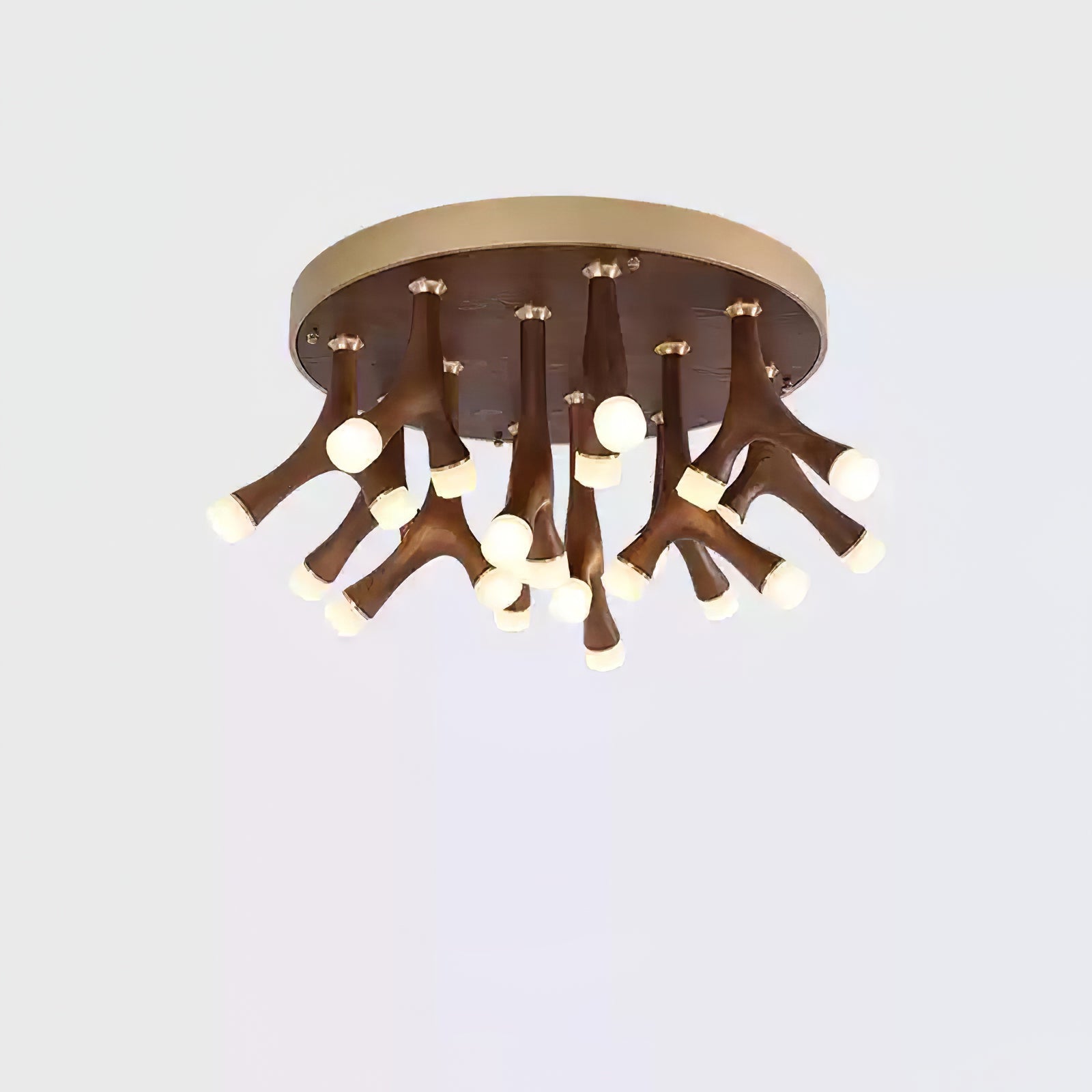 Tentazo Ceiling Light