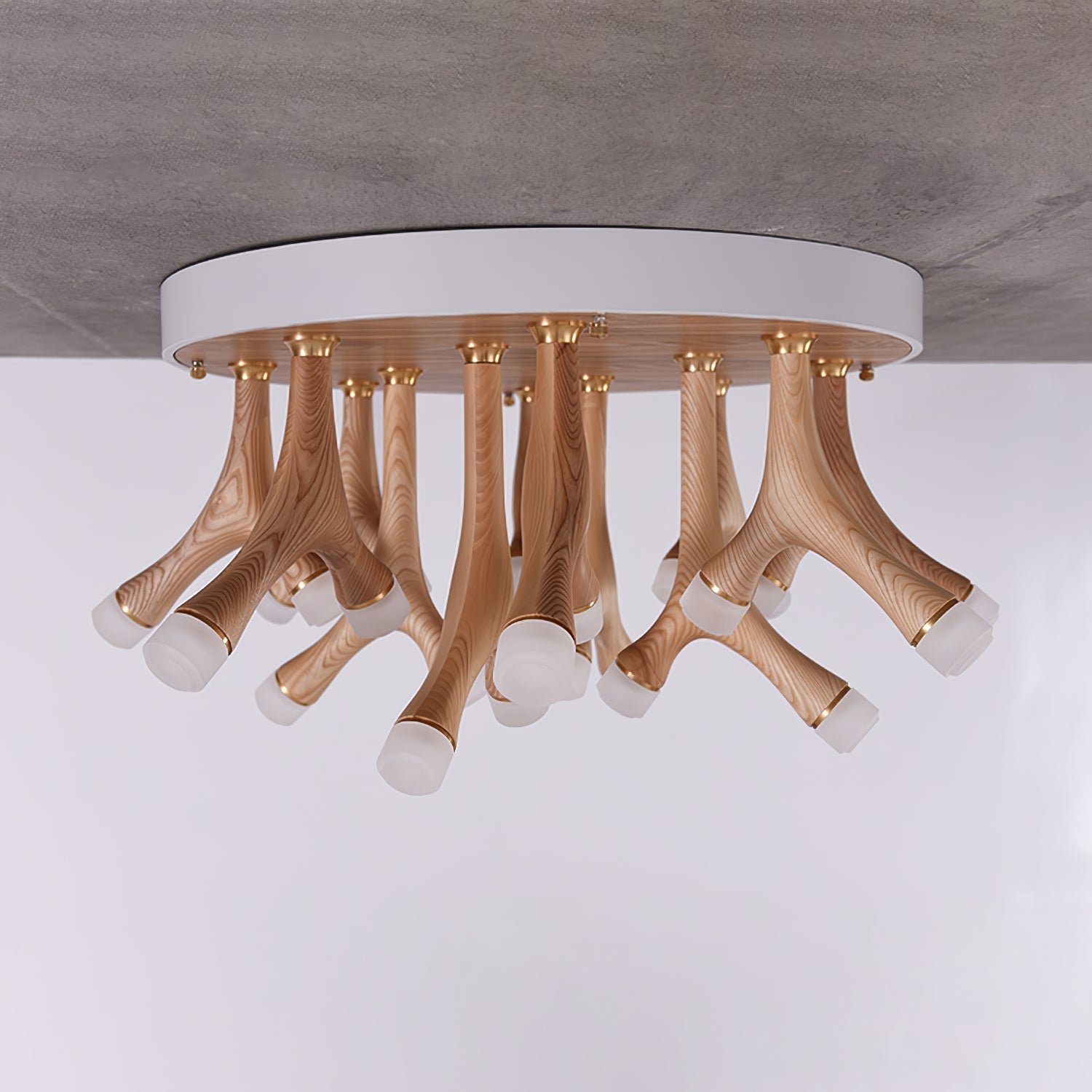 Tentazo Ceiling Light