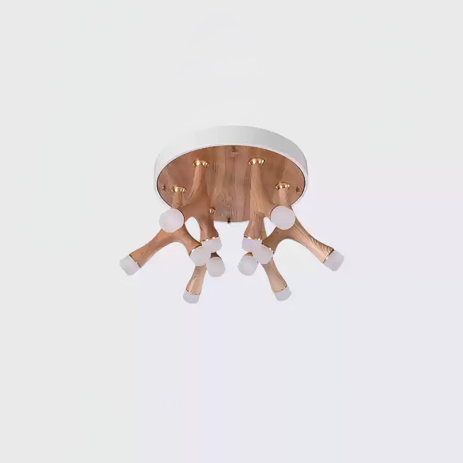 Tentazo Ceiling Light