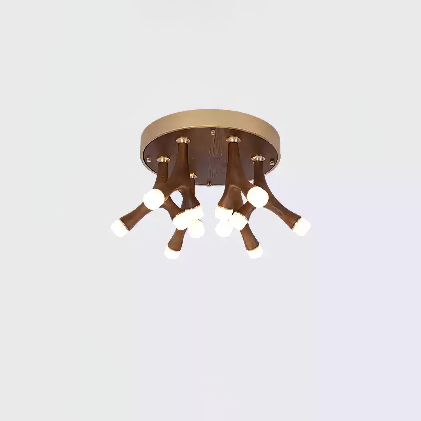 Tentazo Ceiling Light