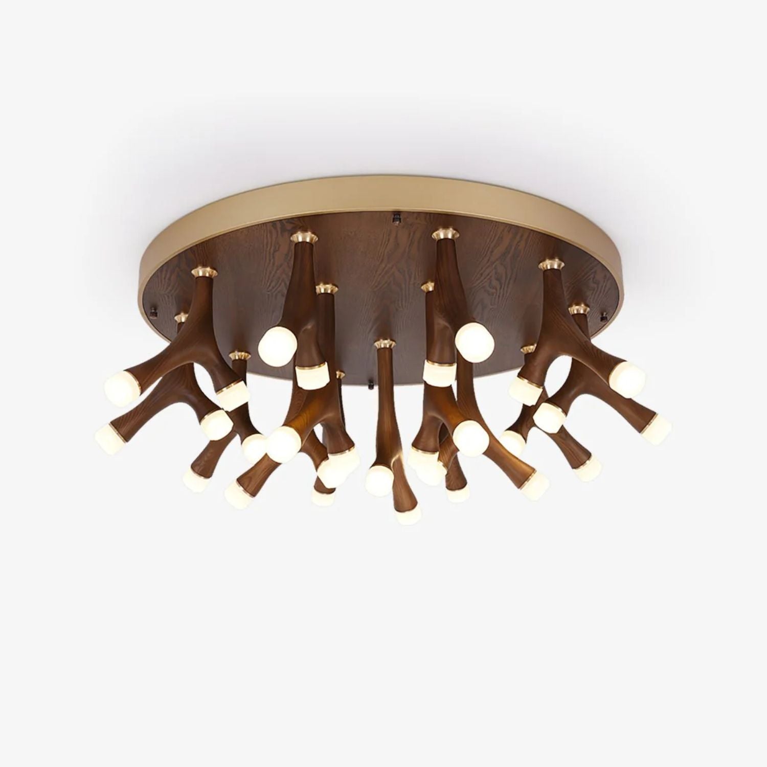 Tentazo Ceiling Light