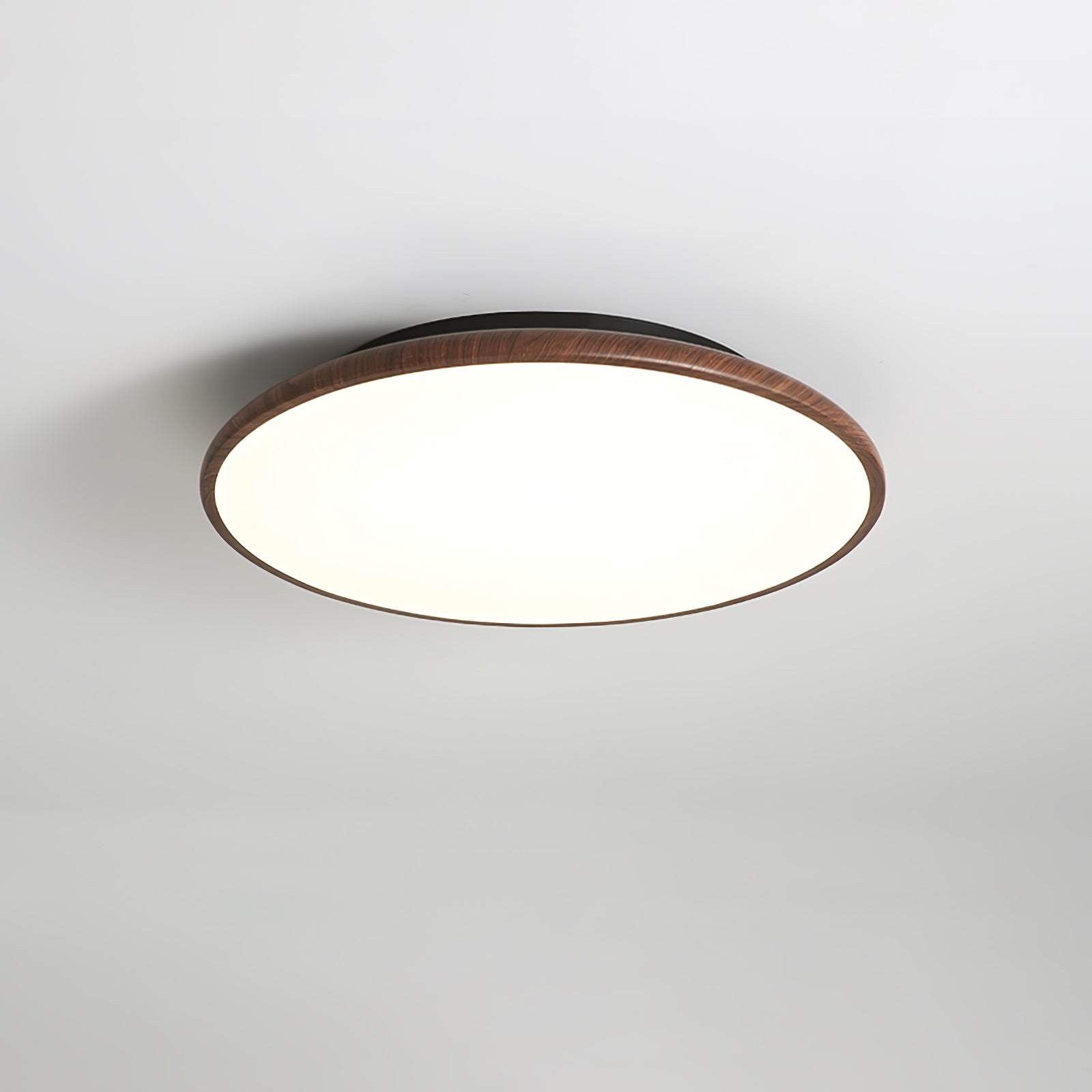 Fayana Ceiling Light
