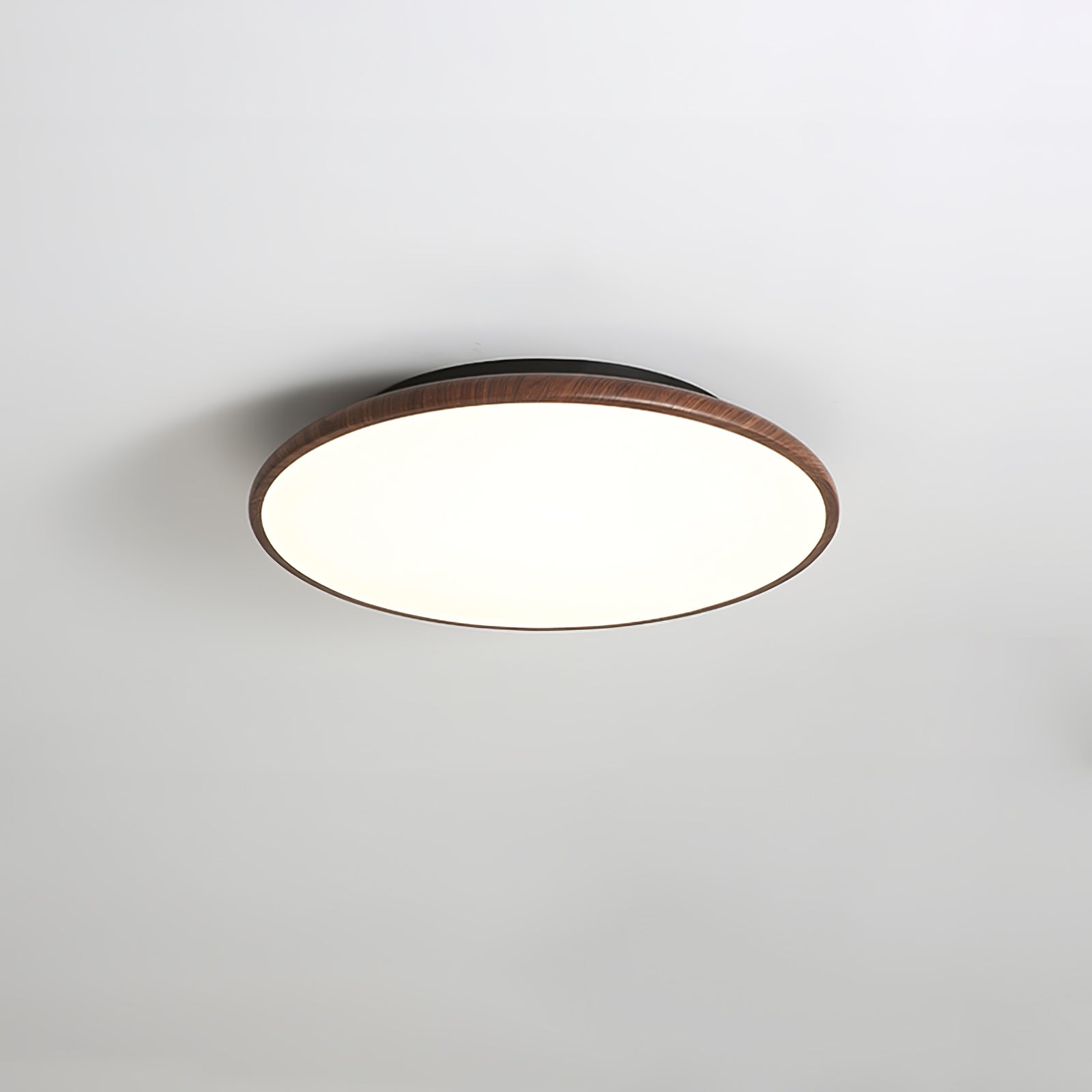 Fayana Ceiling Light