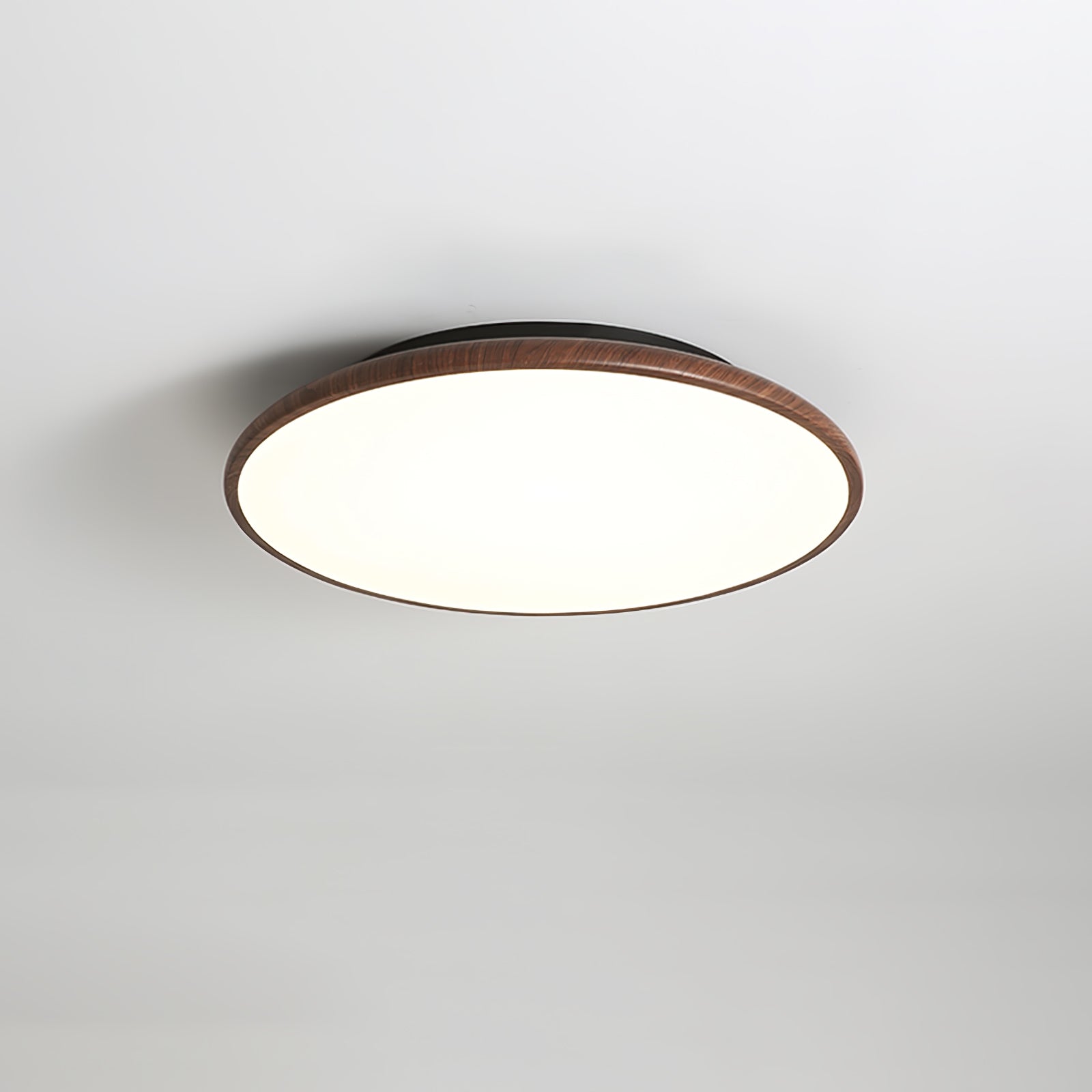 Fayana Ceiling Light