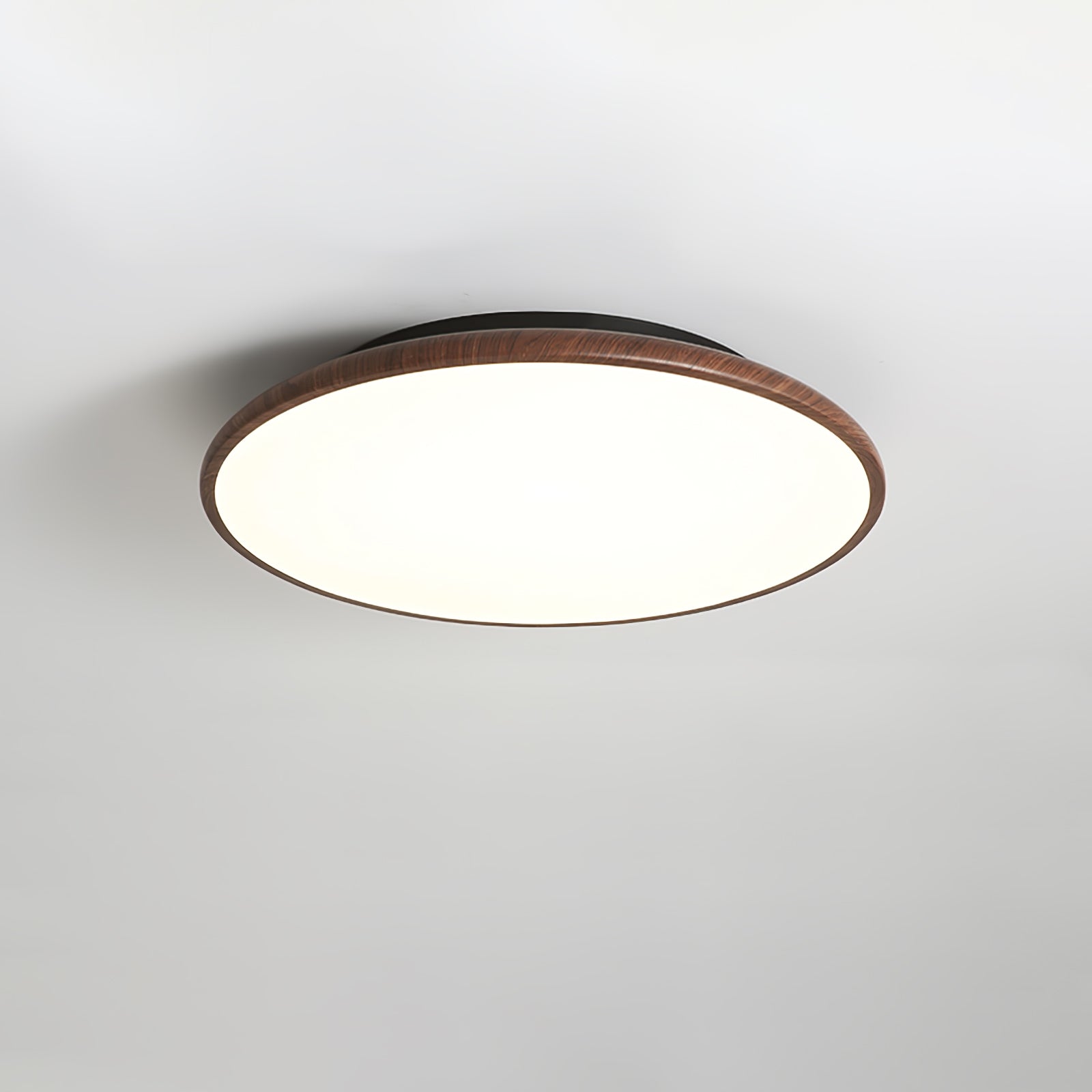 Fayana Ceiling Light