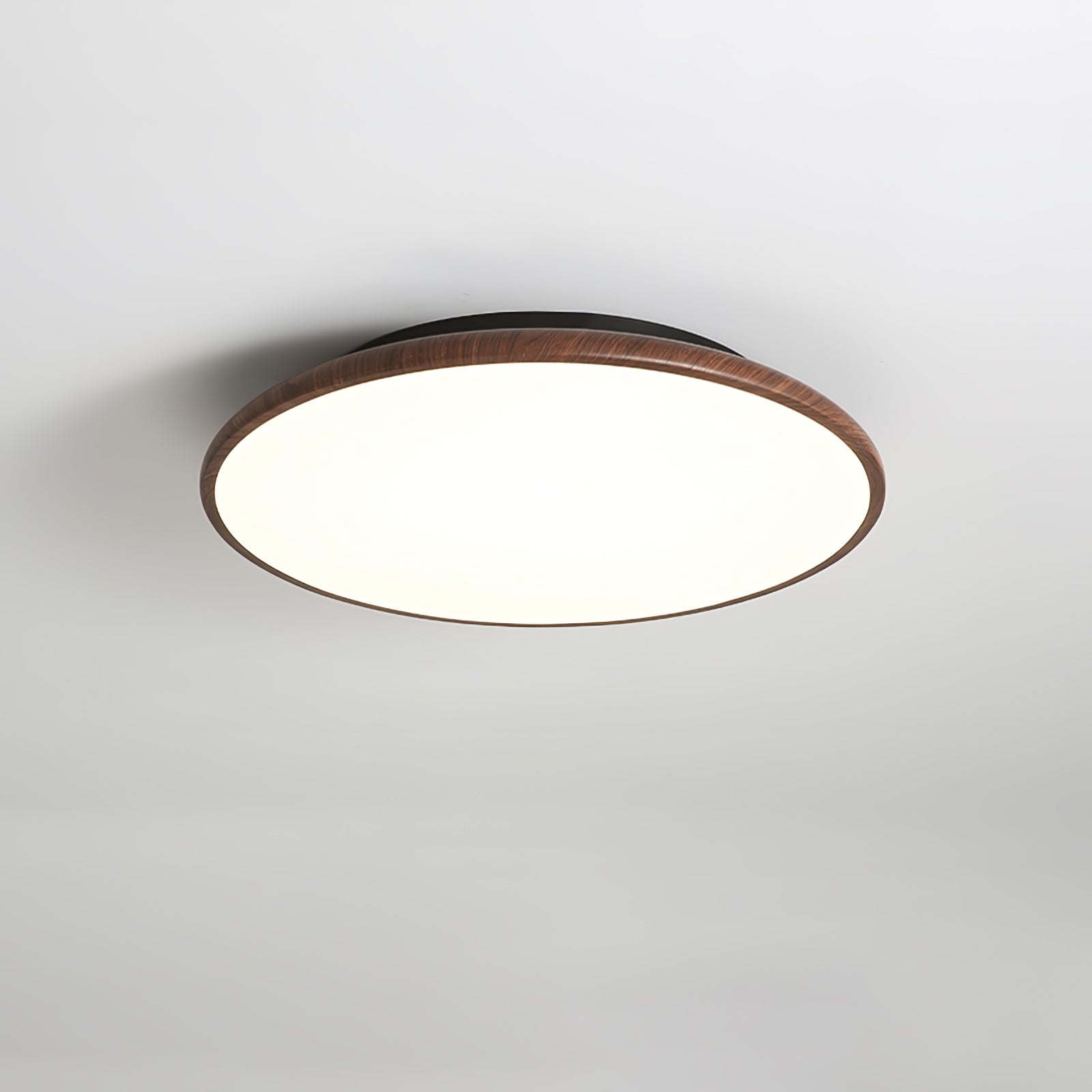 Fayana Ceiling Light