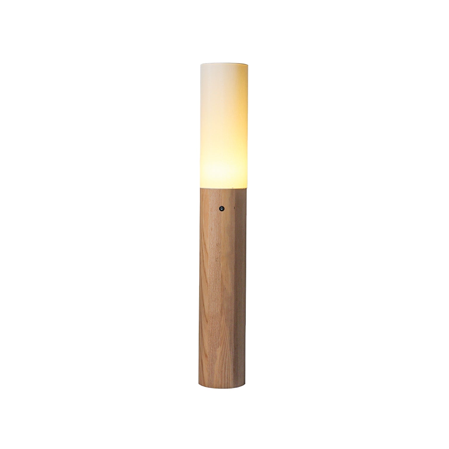 Colien Floor Lamp