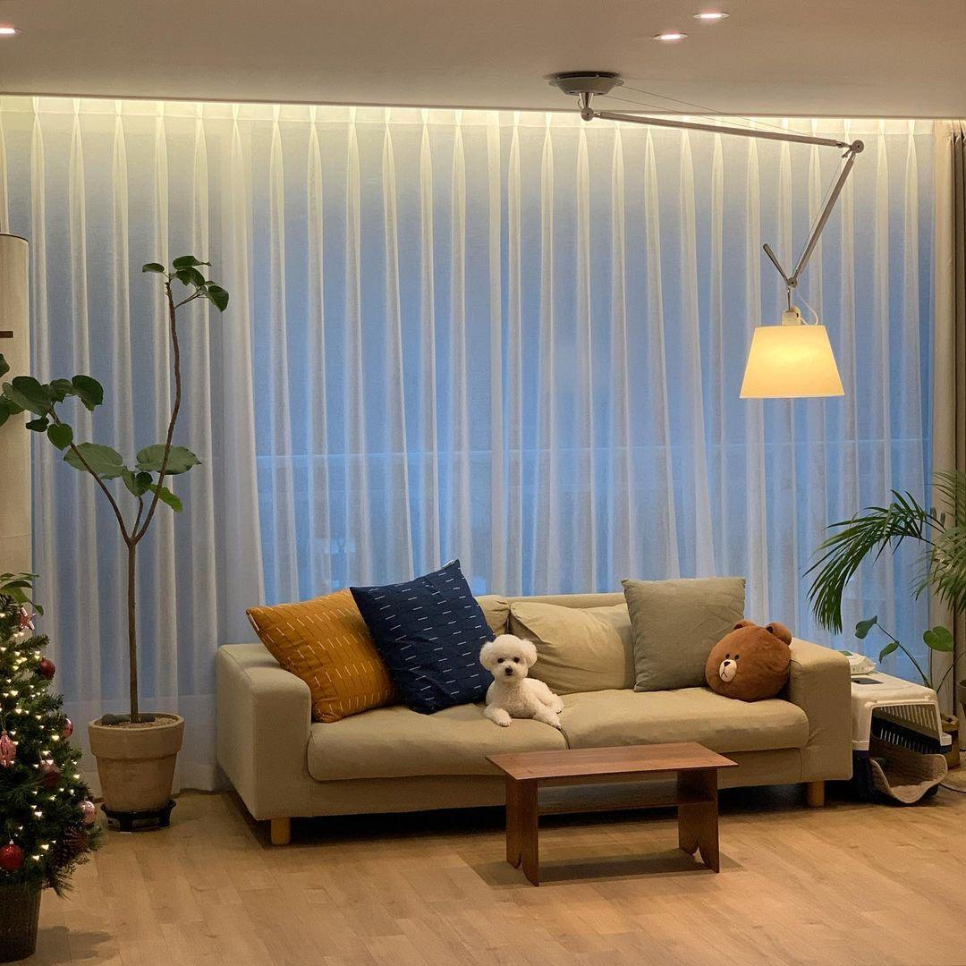 Roheva Ceiling Light