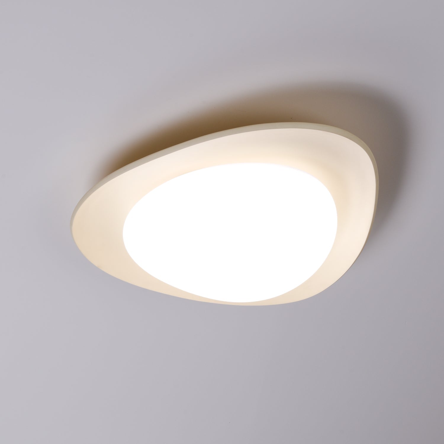 Fiolyn Leaf Ceiling Light