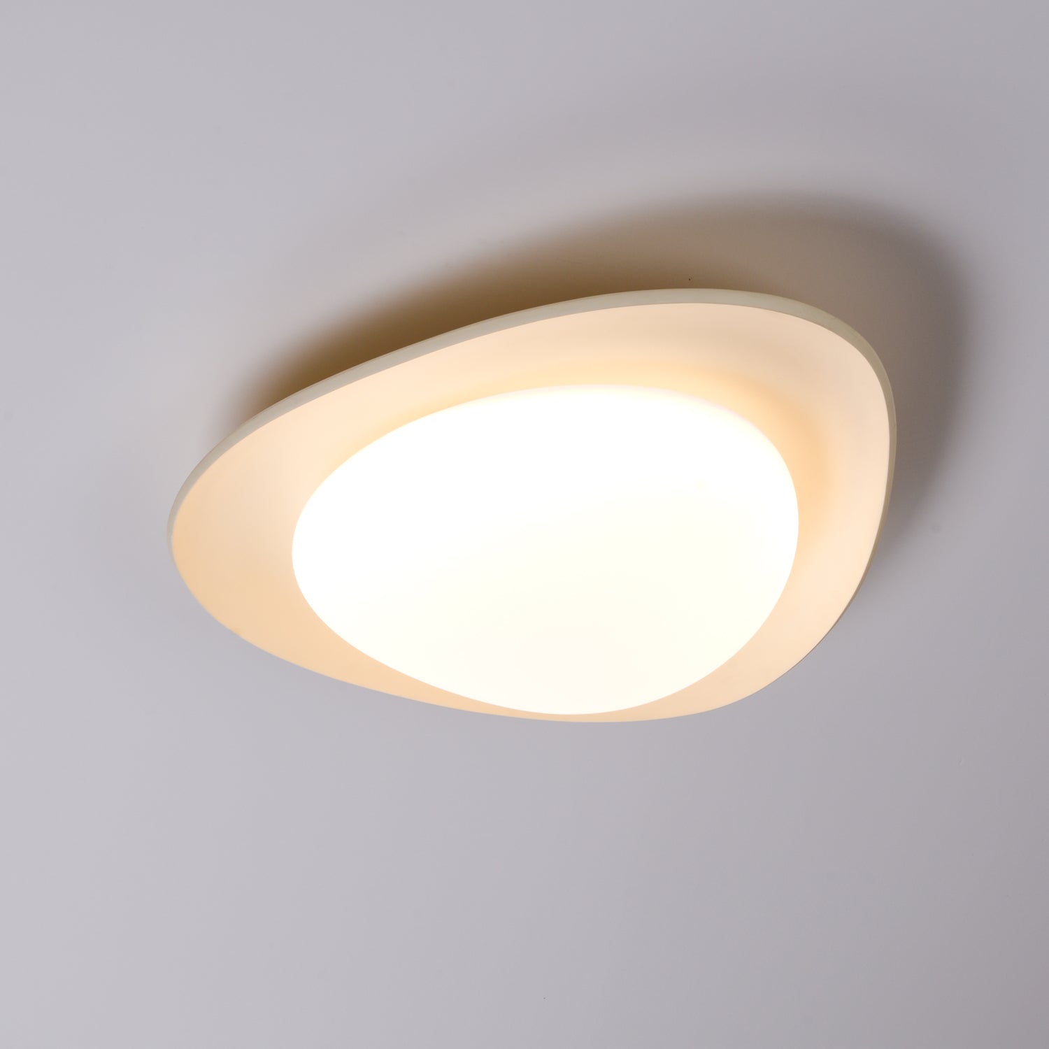 Fiolyn Leaf Ceiling Light