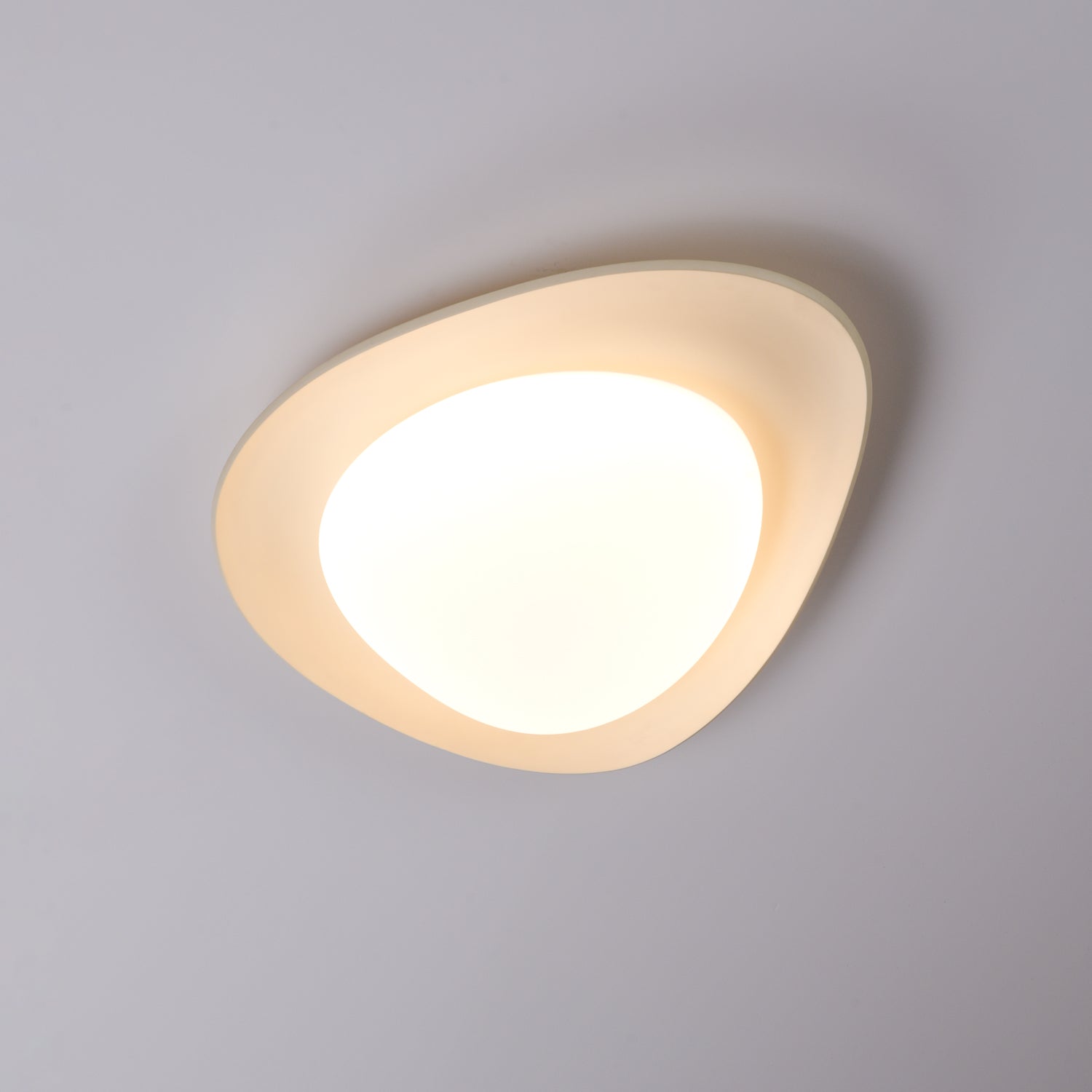 Fiolyn Leaf Ceiling Light