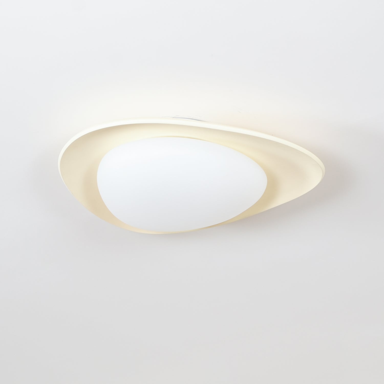 Fiolyn Leaf Ceiling Light