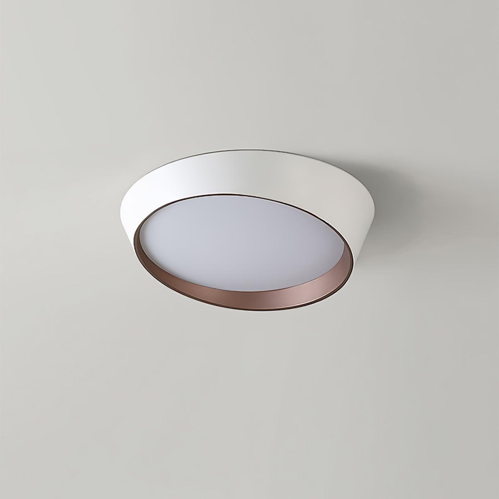 Mirvesso Ceiling Light