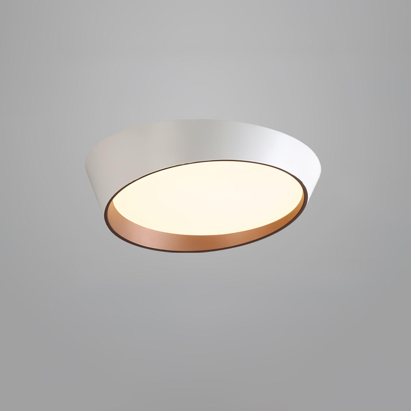 Mirvesso Ceiling Light