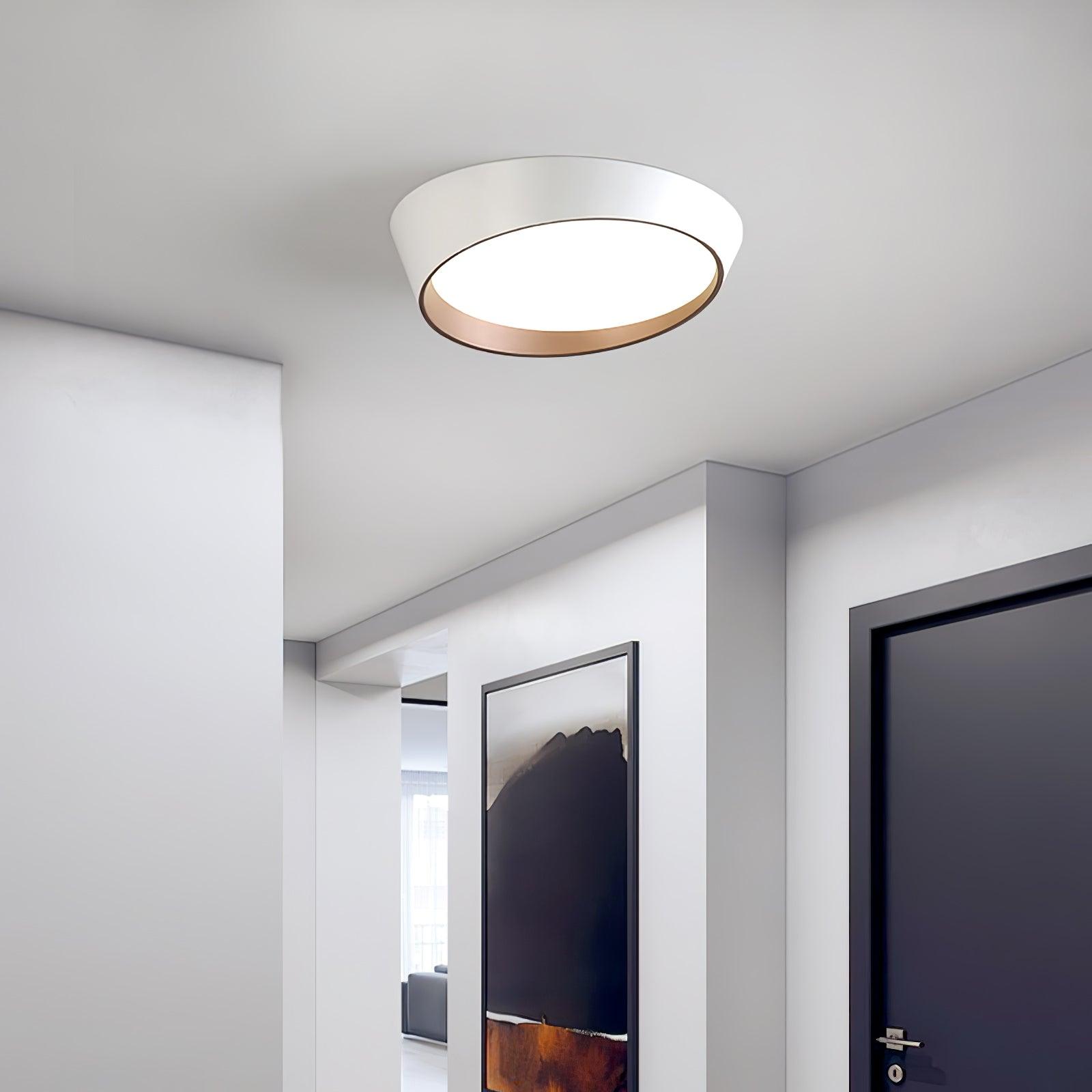 Mirvesso Ceiling Light