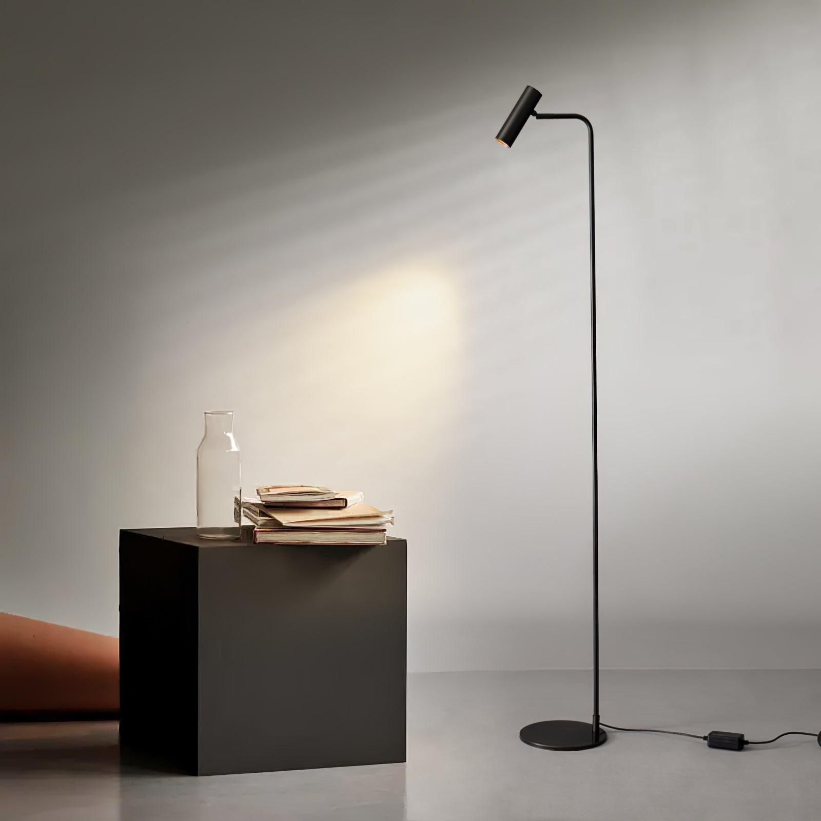 Zelvano Floor Lamp