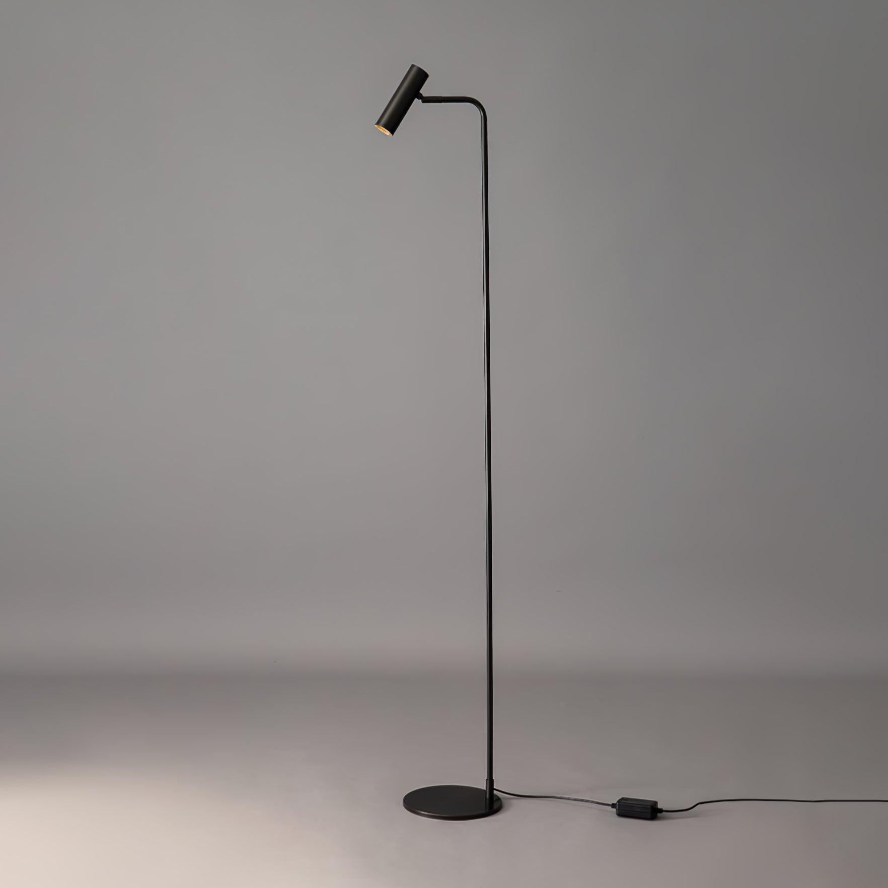 Zelvano Floor Lamp