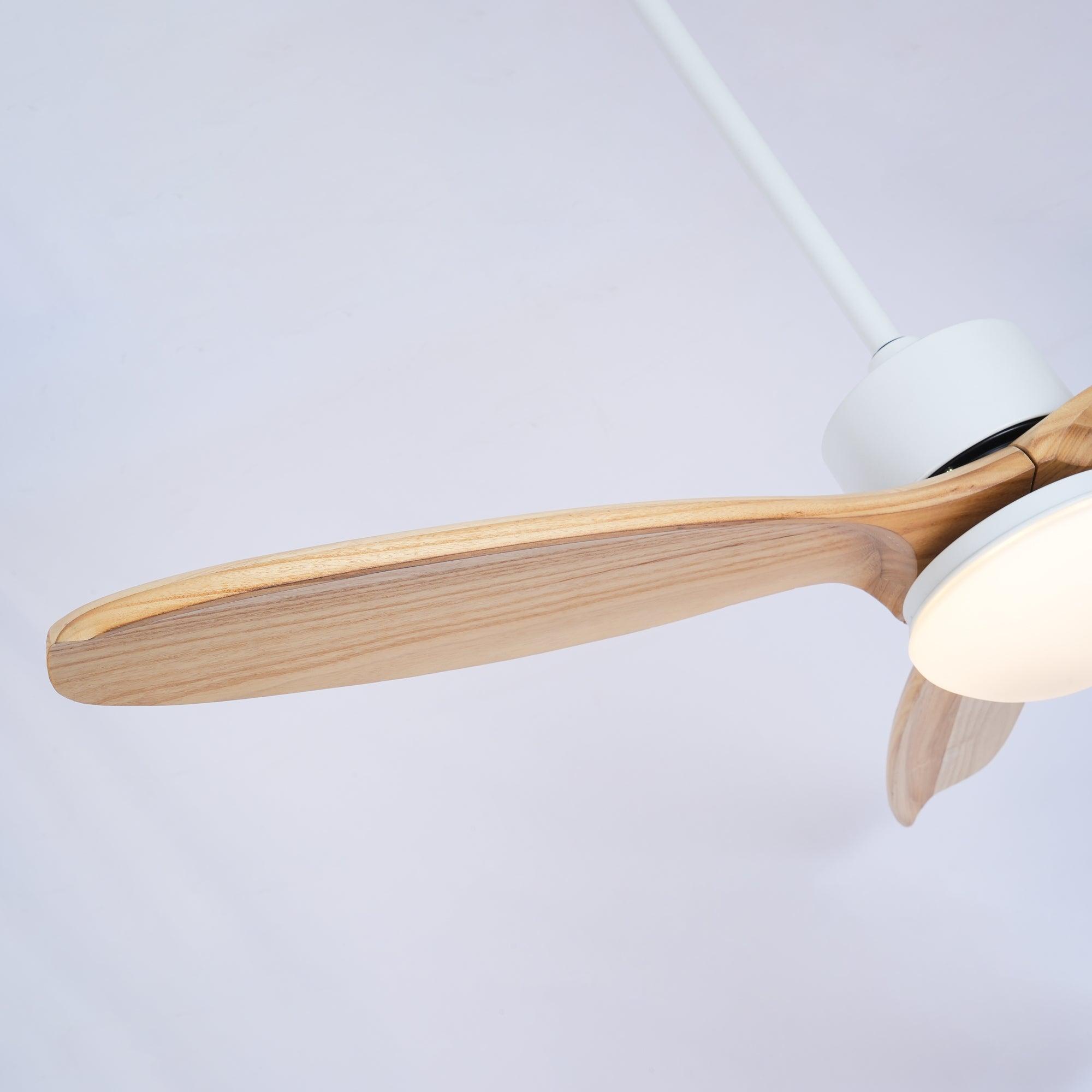 Barhoug LED Ceiling Fan