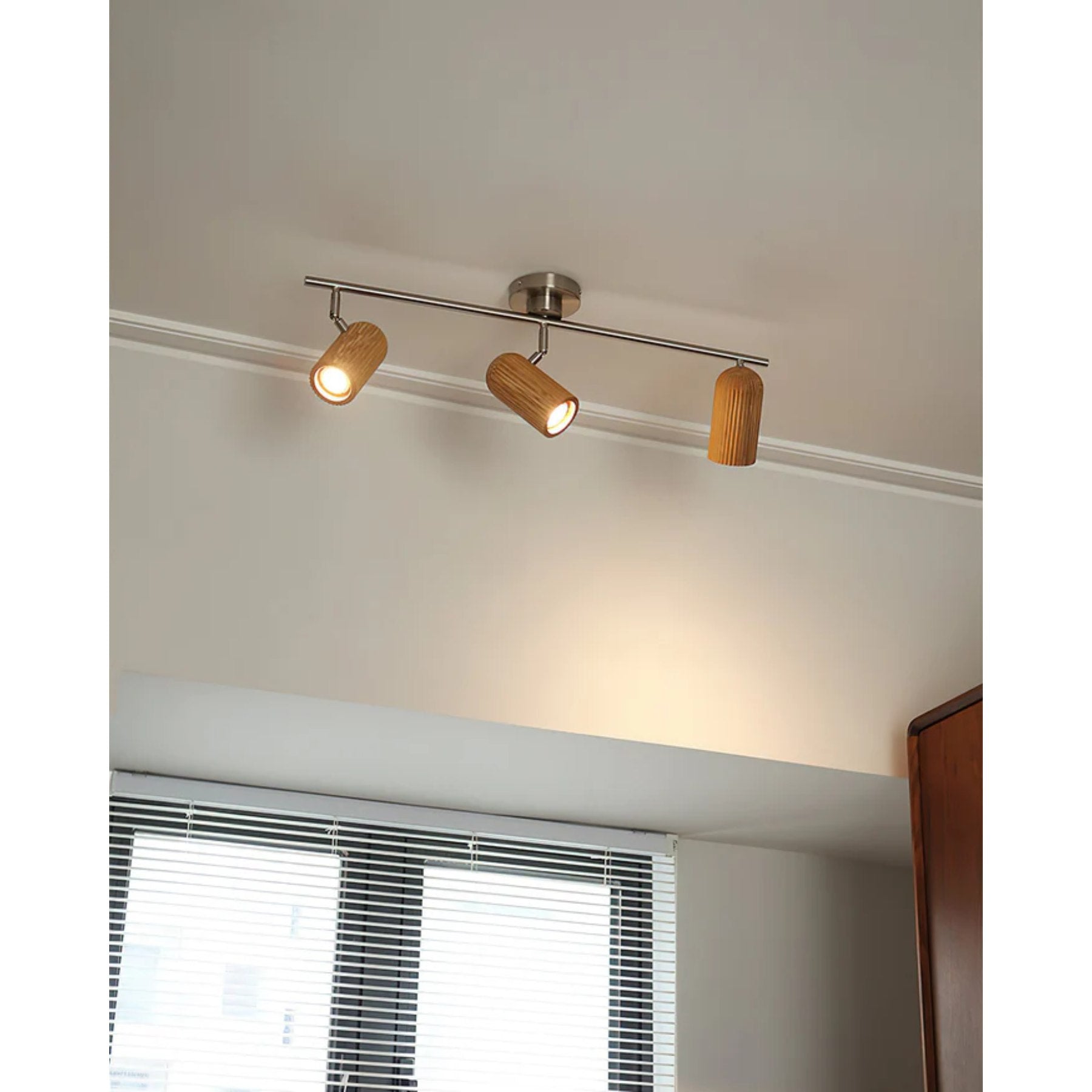 Trevizo Ceiling Light