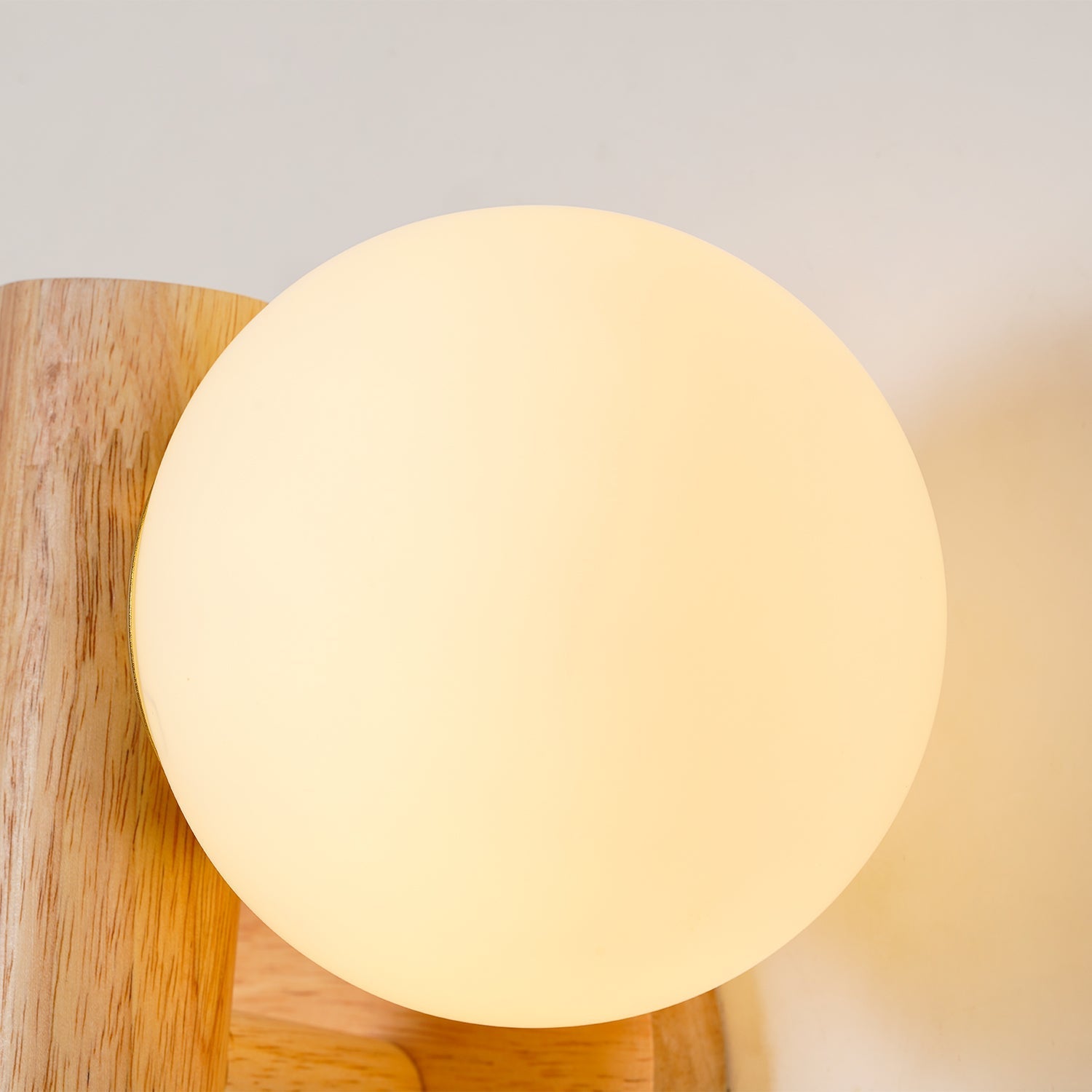 Zelina Wall Light