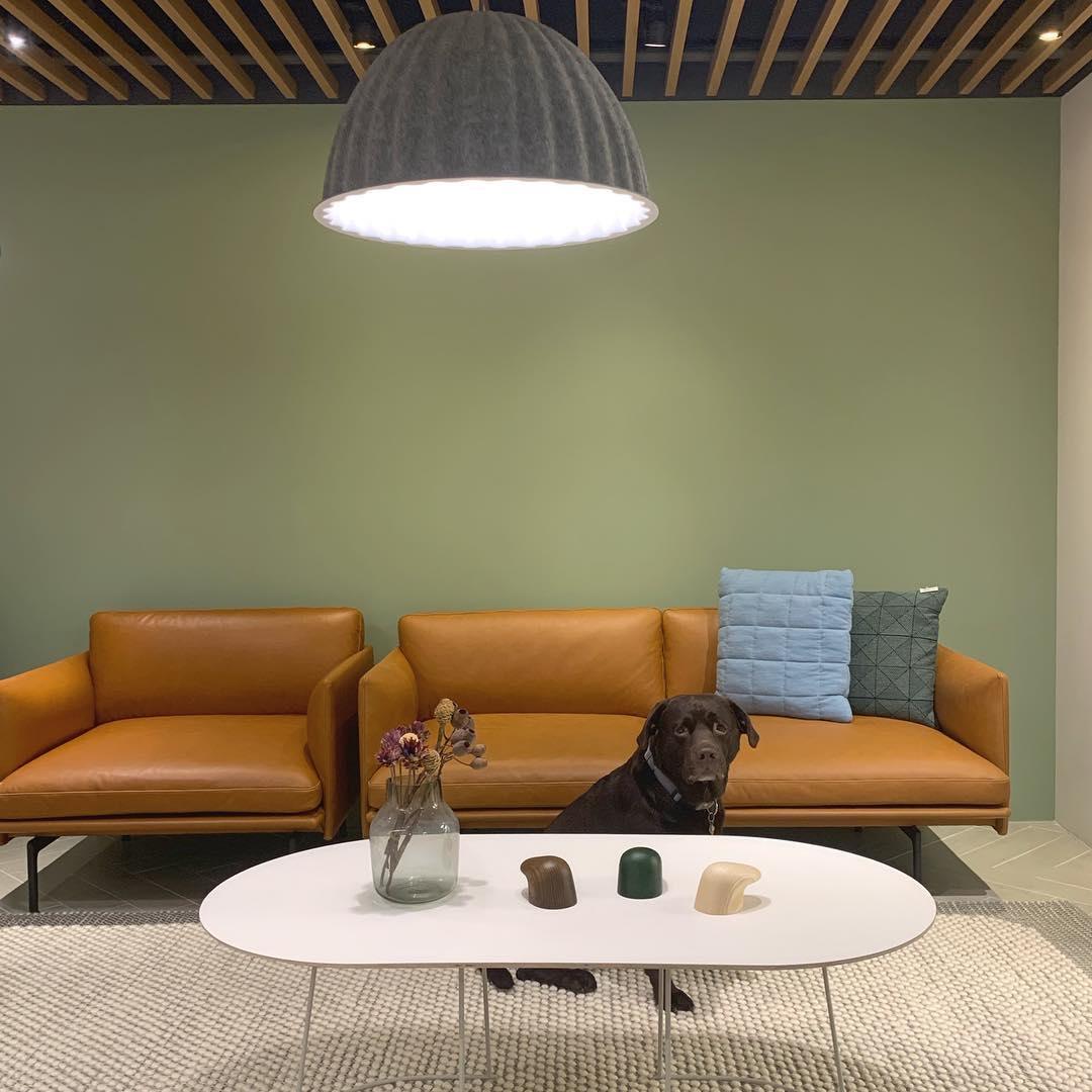 Felyt Pendant Light