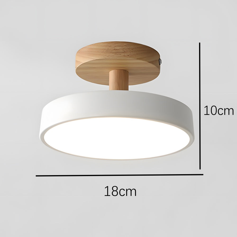 Pedol Ceiling Light