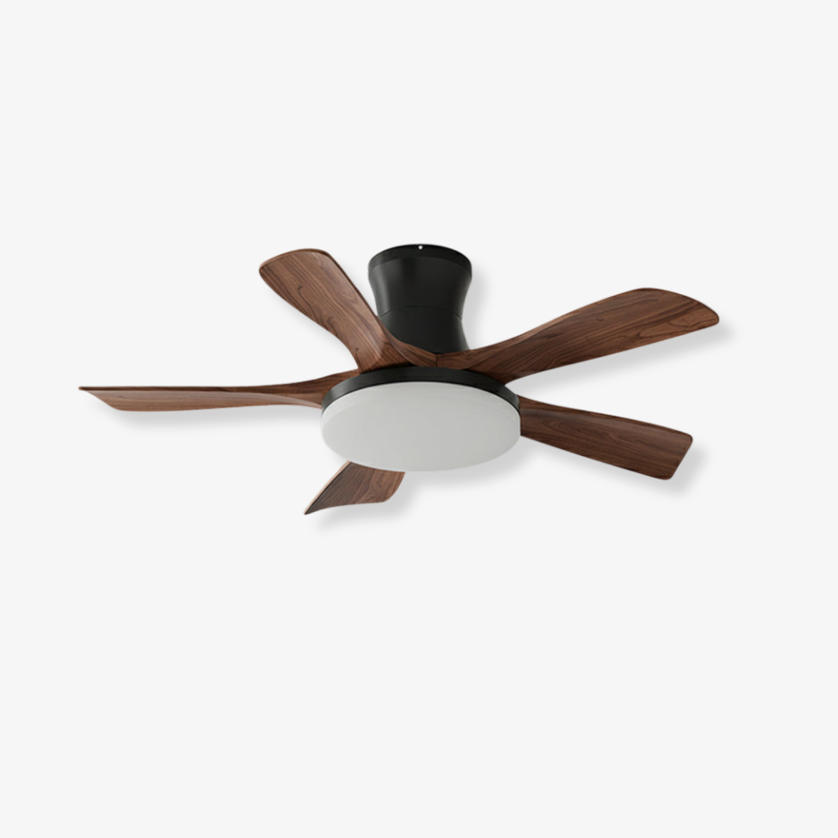 Linri Modern Ceiling Light