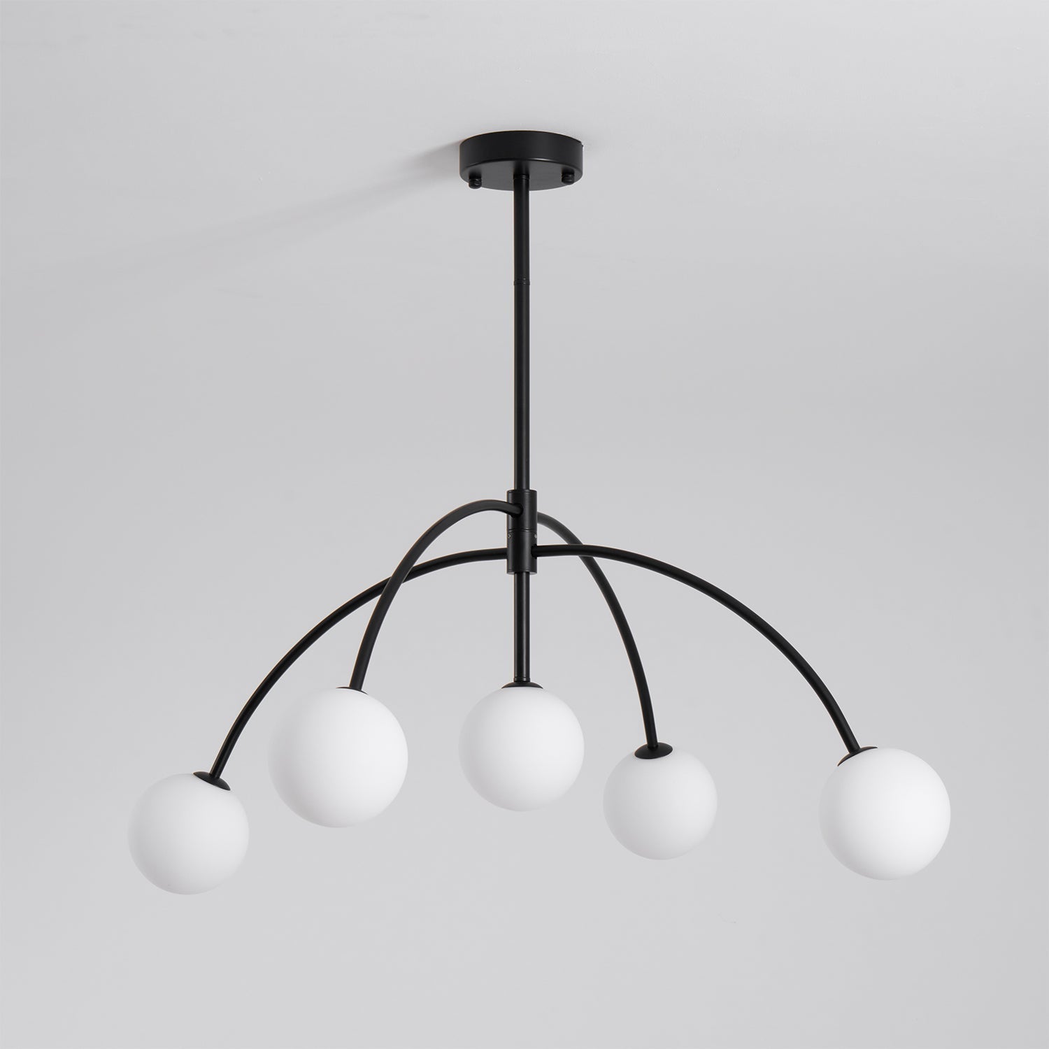 Halicen Ceiling Light