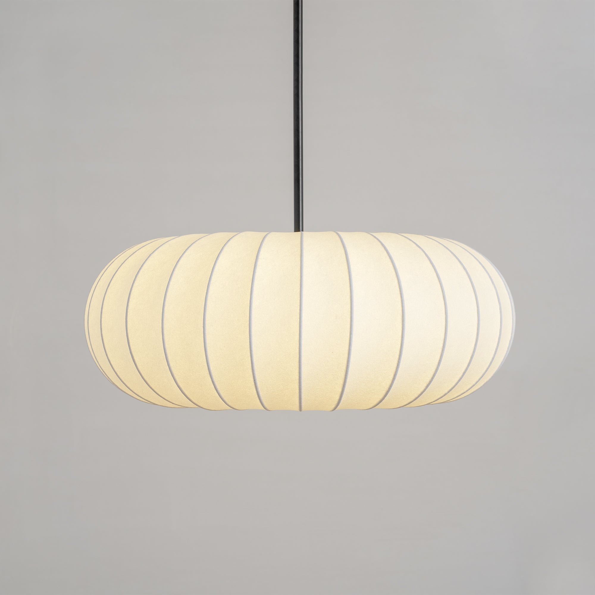 Camdale Plug In Pendant Light
