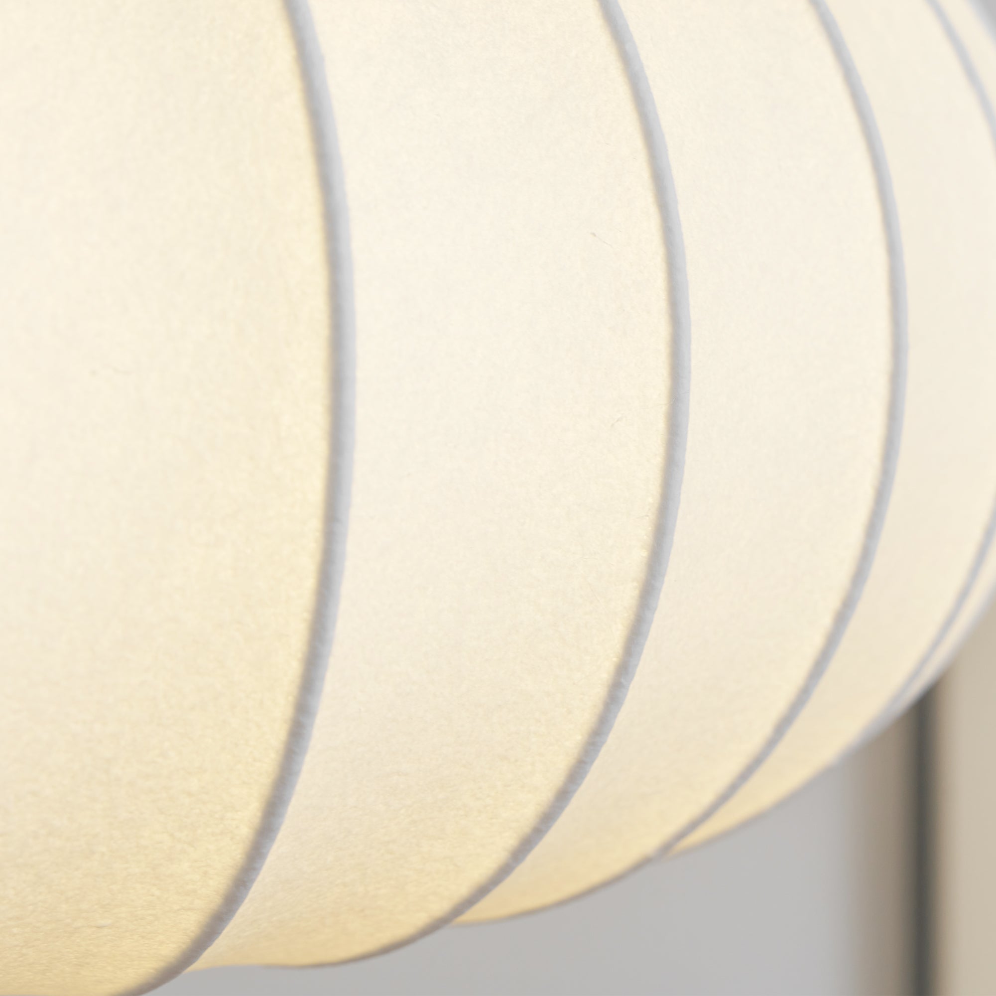 Camdale Plug In Pendant Light