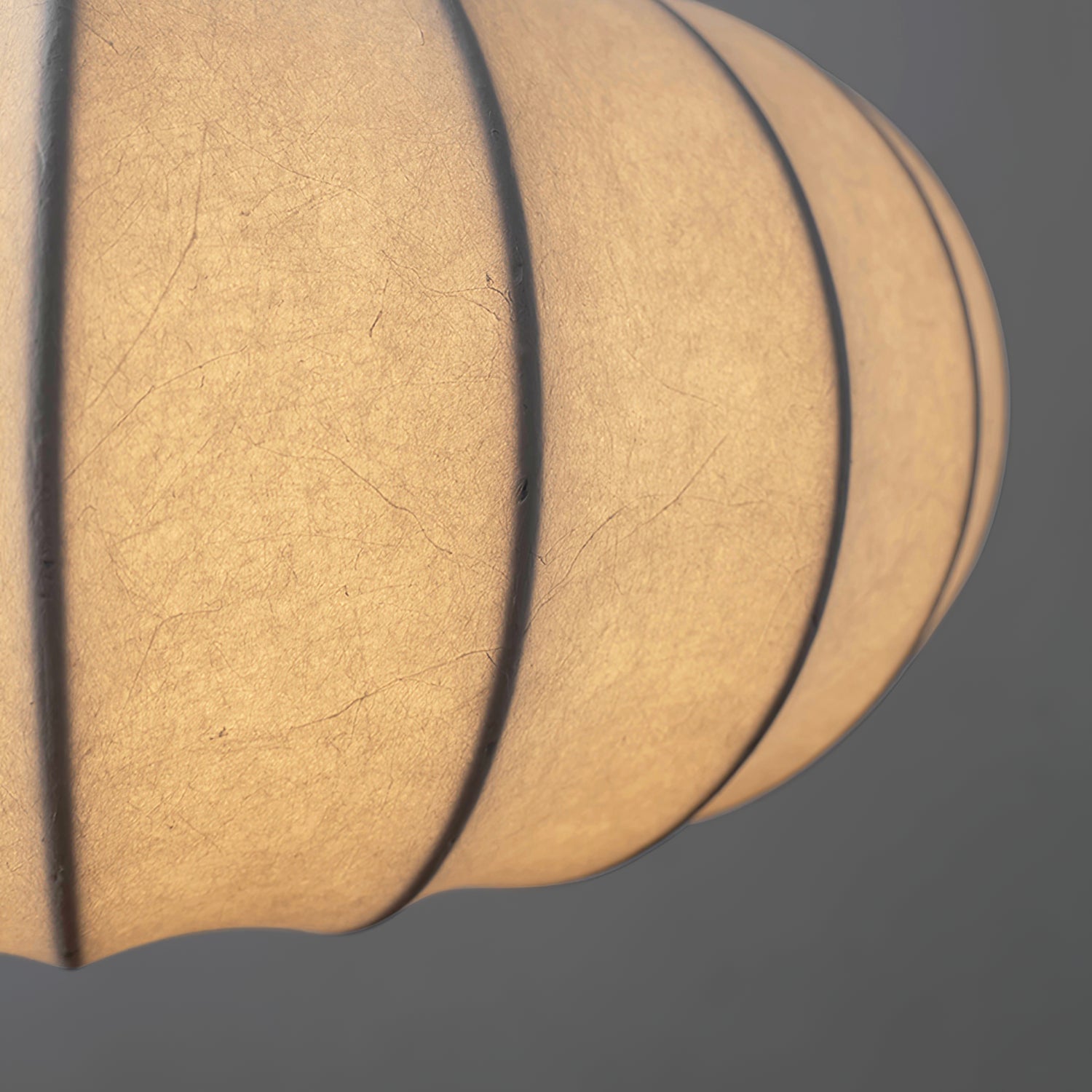 Camdale Plug In Pendant Light